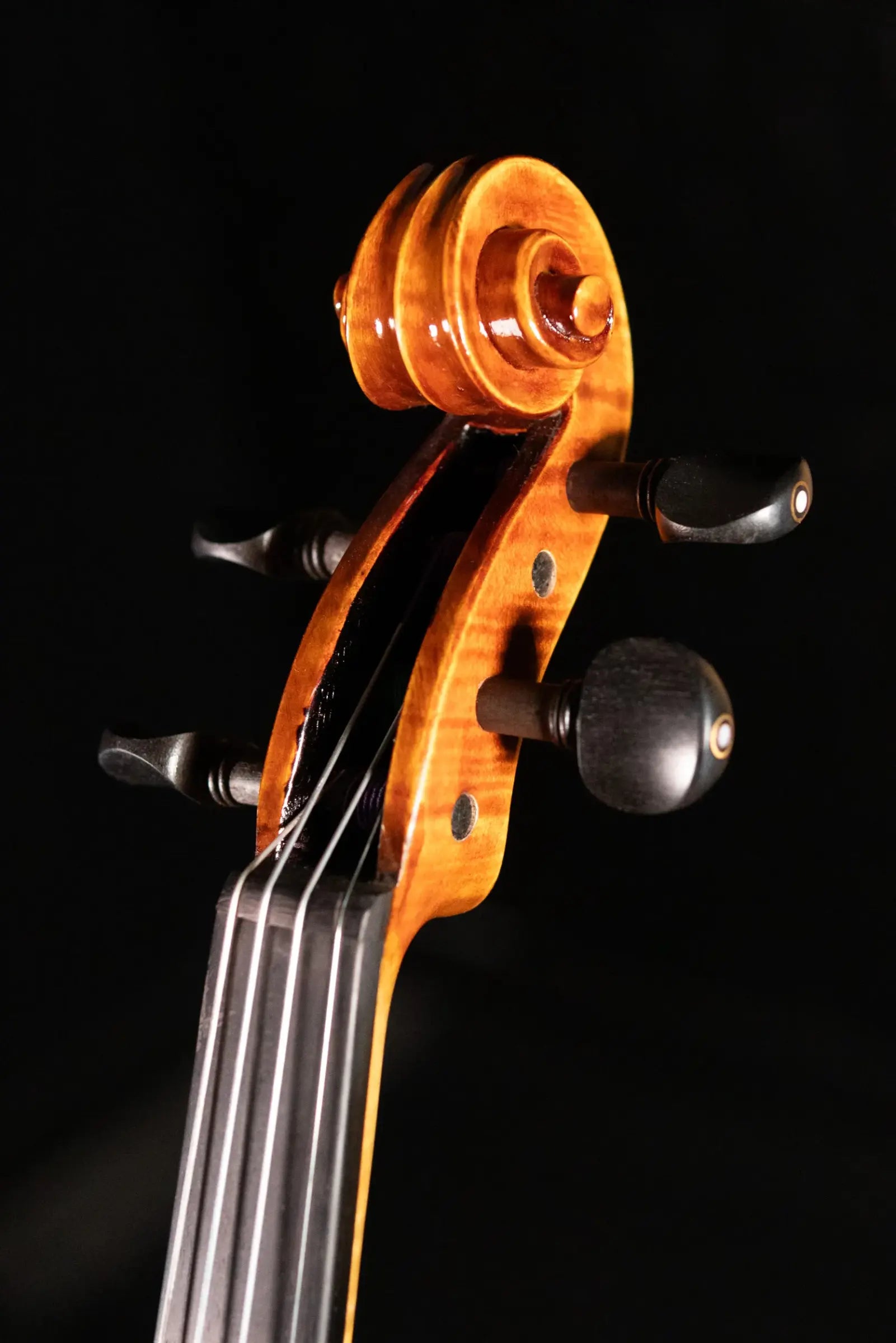 Maple Leaf Strings Artisan Collection Lady Claire Violin - 4/4