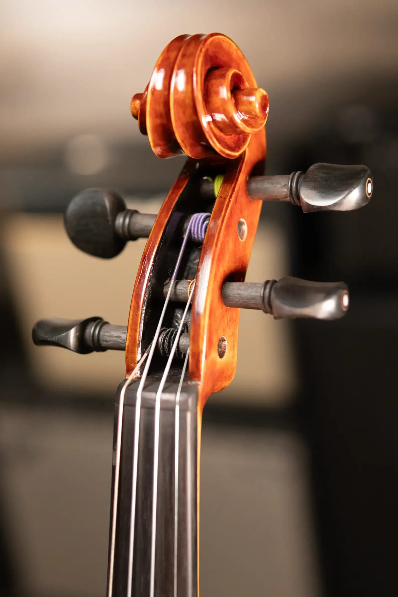 Maple Leaf Strings Craftsman Collection Chaconne Parisian Eye Violin - 4/4 Size