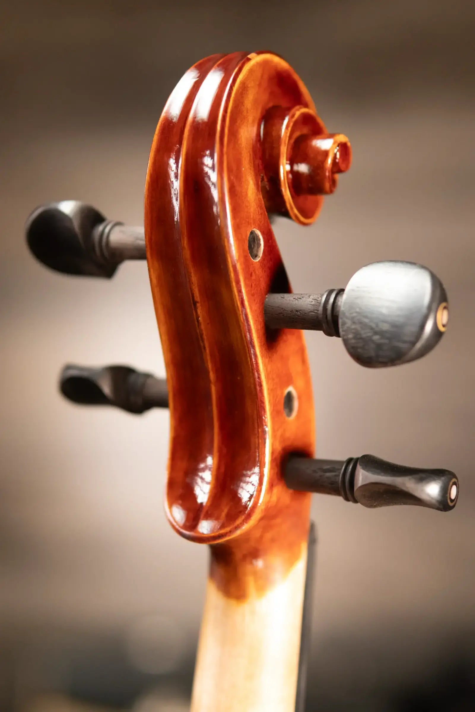 Maple Leaf Strings Craftsman Collection Chaconne Parisian Eye Violin - 4/4 Size