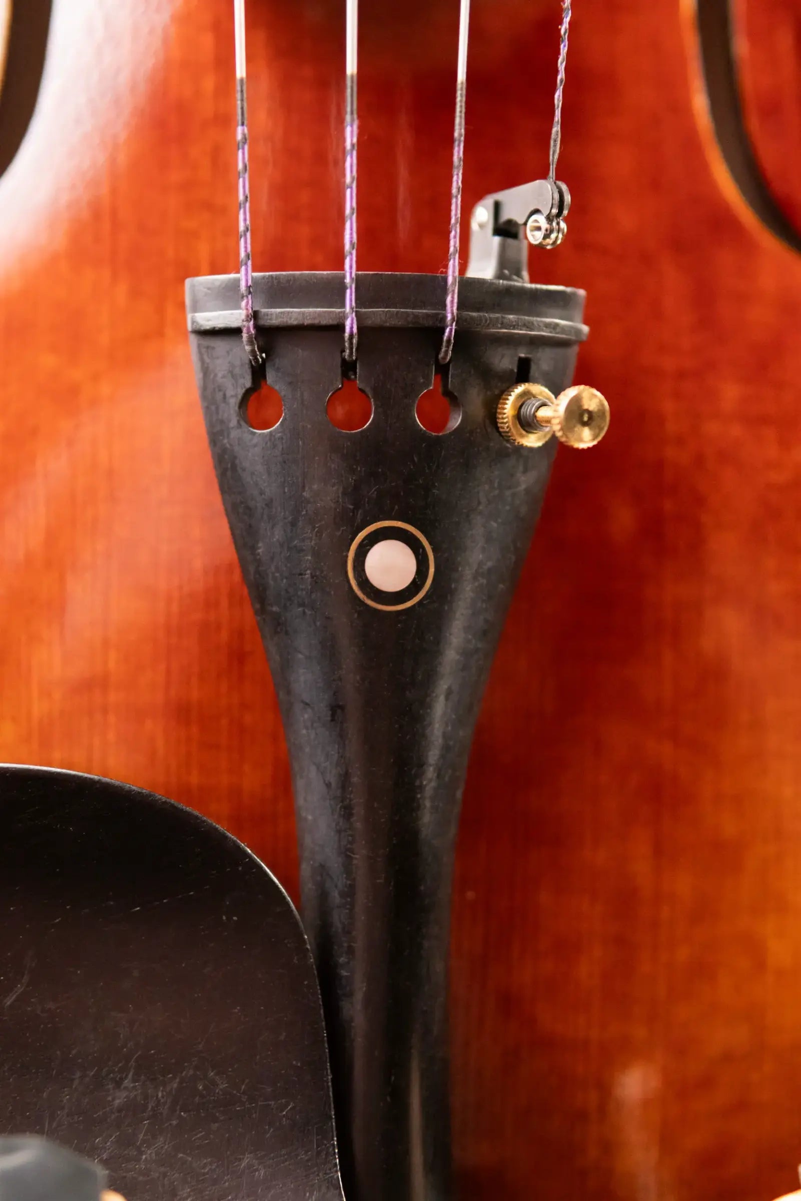 Maple Leaf Strings Craftsman Collection Chaconne Parisian Eye Violin - 4/4 Size