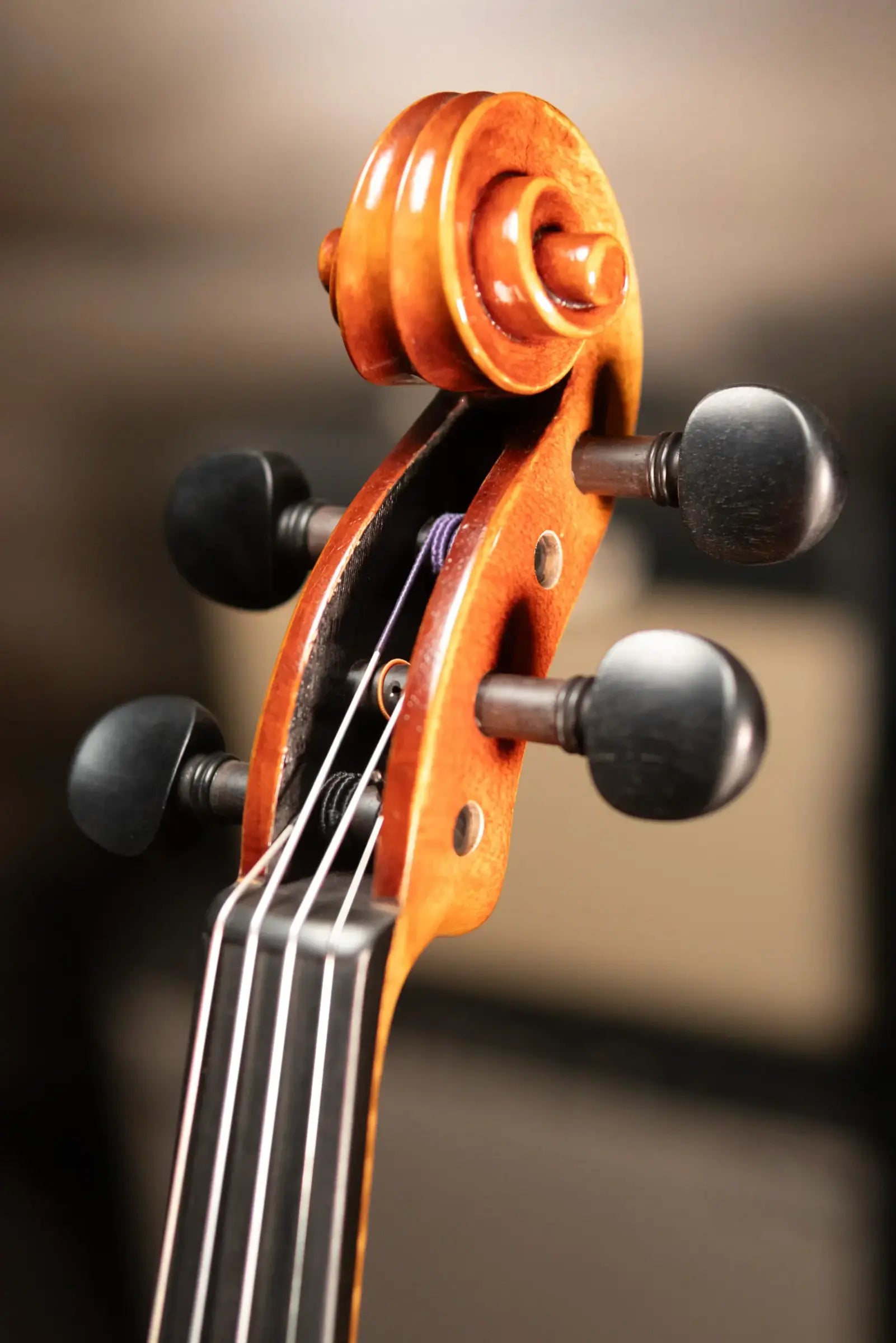 Maple Leaf Strings Craftsman Collection Lord Wilton Violin - 4/4 Size