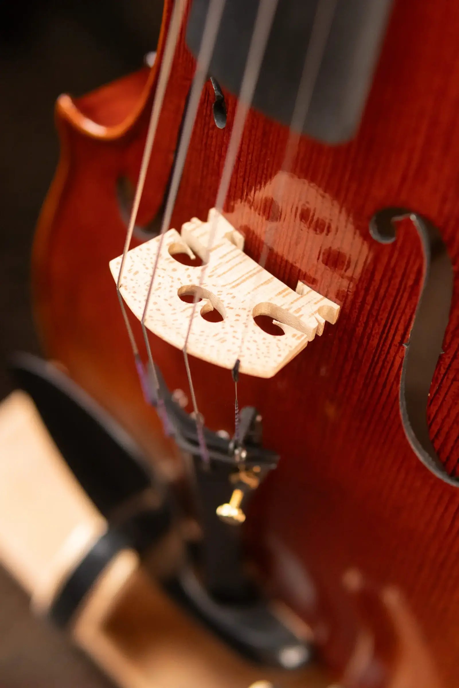 Maple Leaf Strings Craftsman Collection Lord Wilton Violin - 4/4 Size