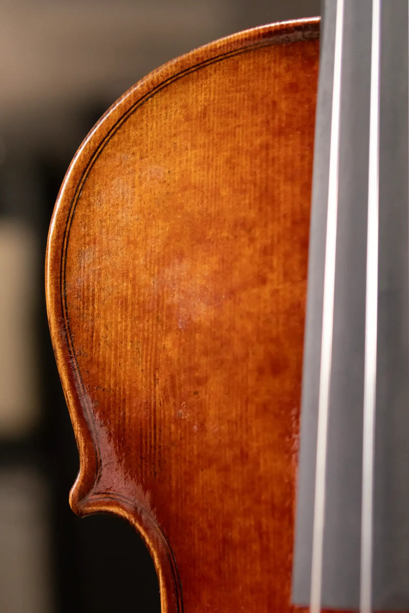 Maple Leaf Strings Craftsman Collection Noble Philip Violin - 4/4 Size