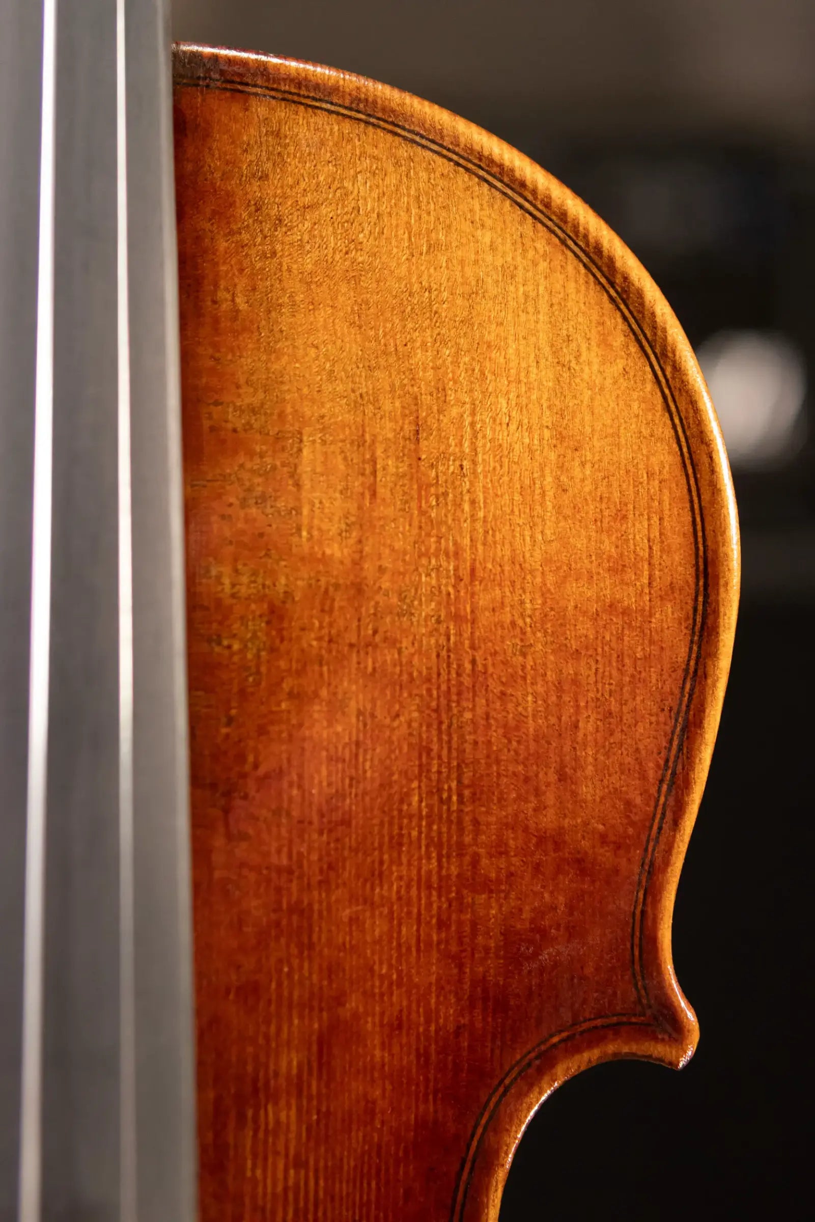 Maple Leaf Strings Craftsman Collection Noble Philip Violin - 4/4 Size