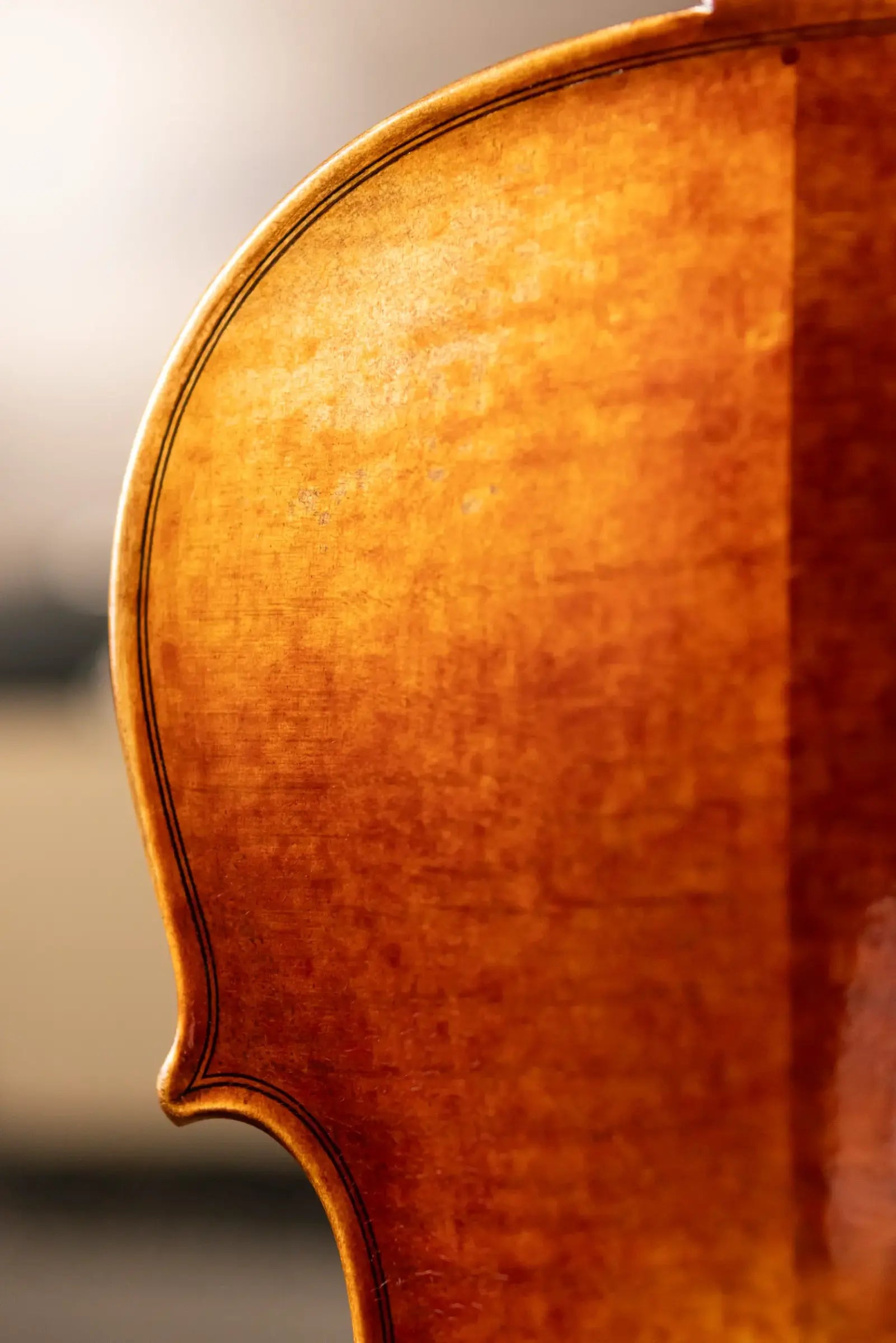 Maple Leaf Strings Craftsman Collection Noble Philip Violin - 4/4 Size