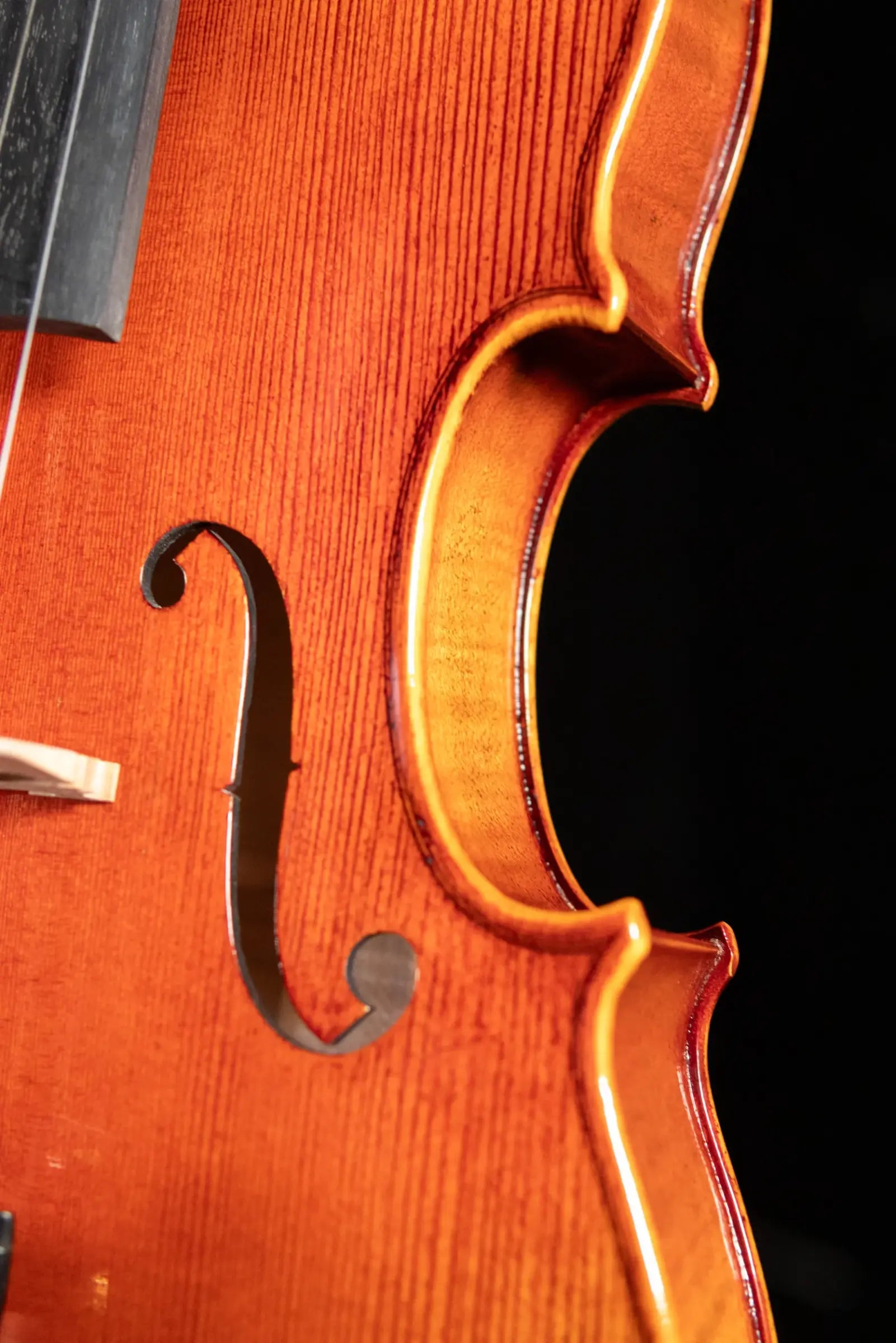 Maple Leaf Strings Lord Wilton Craftsman Collection Viola - 16.5"