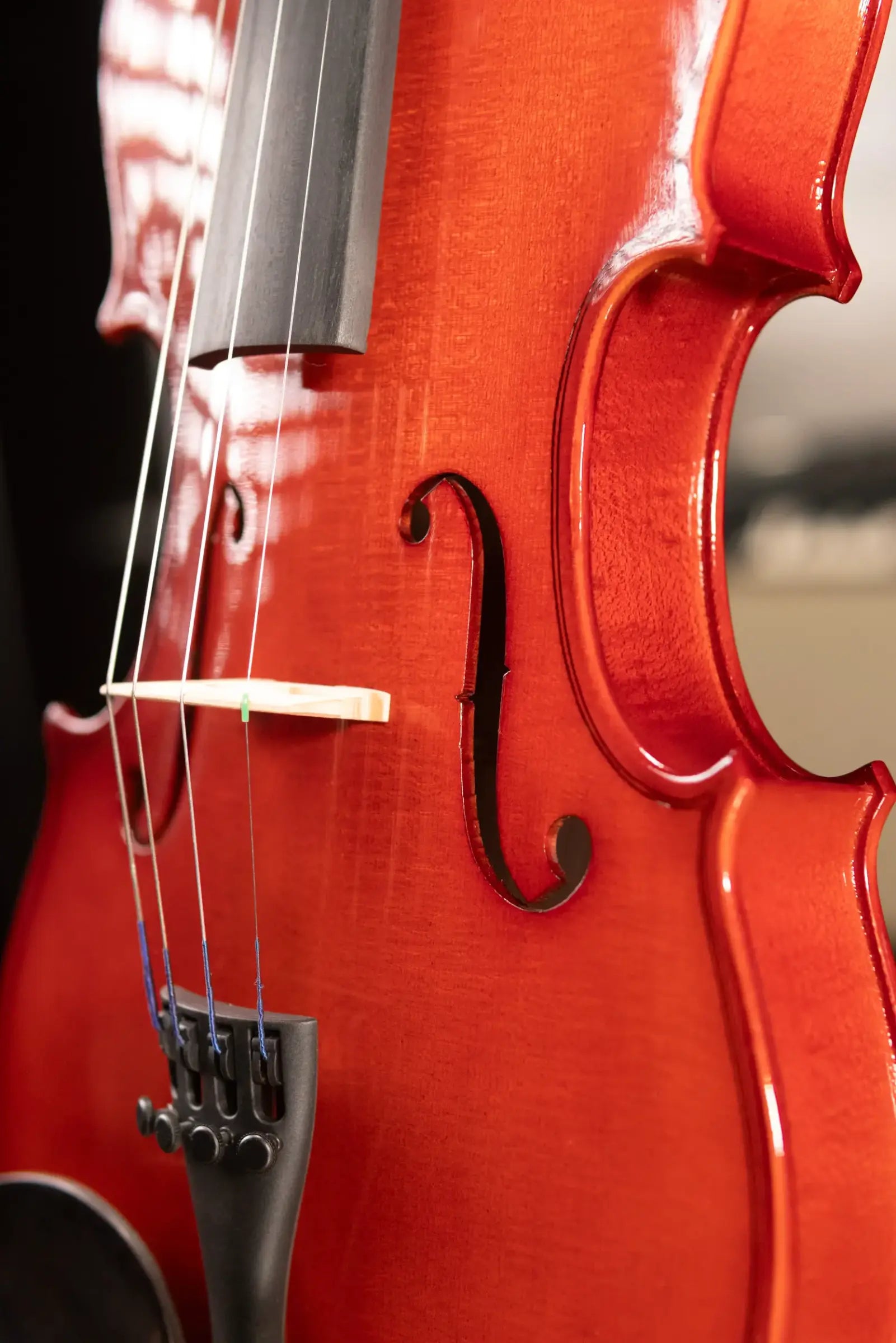 Maple Leaf Strings Model 110 Violin Outfit - 4/4 Size