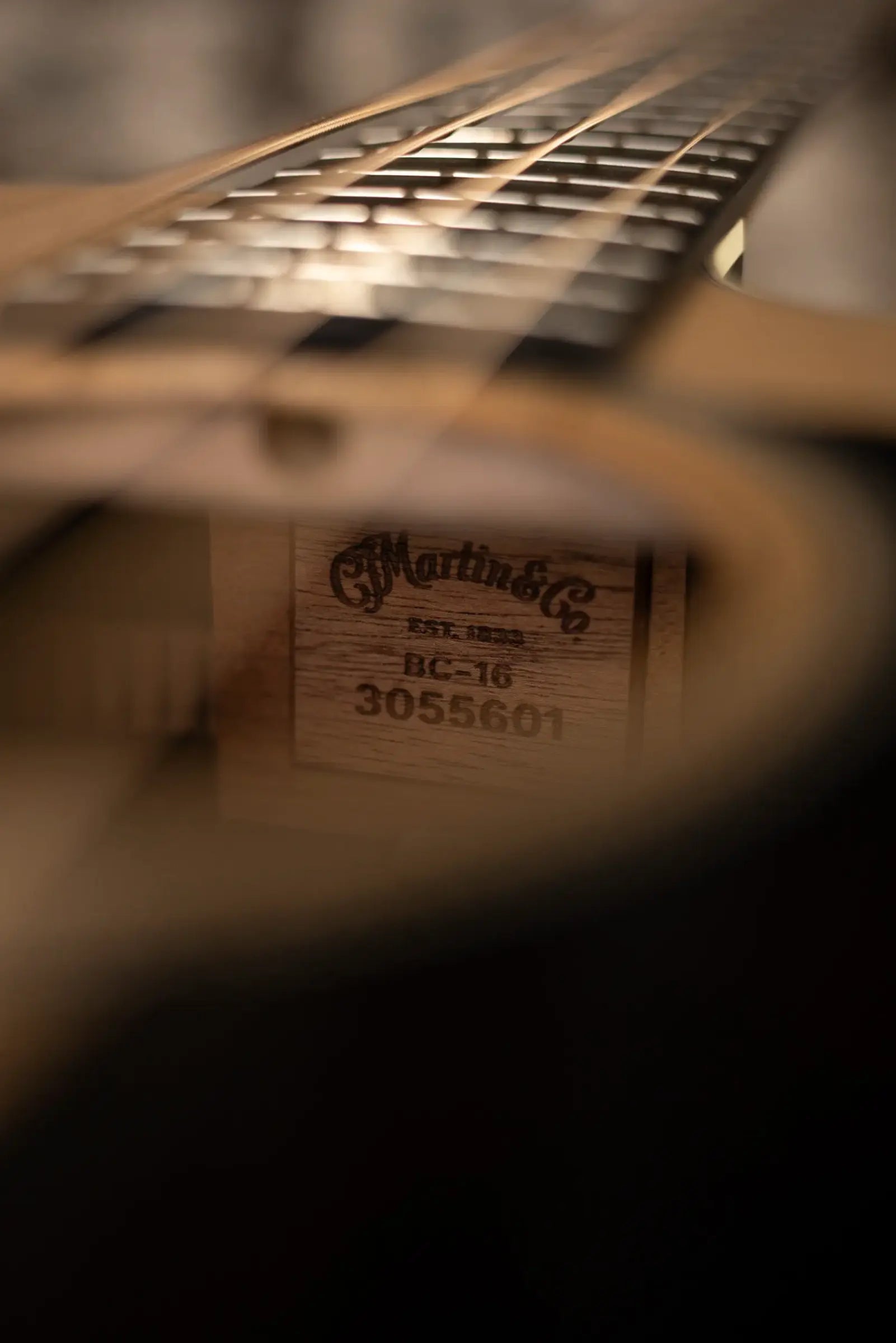 Martin BC-16E Acoustic-Electric Bass Guitar - Natural with Softshell Gig Bag