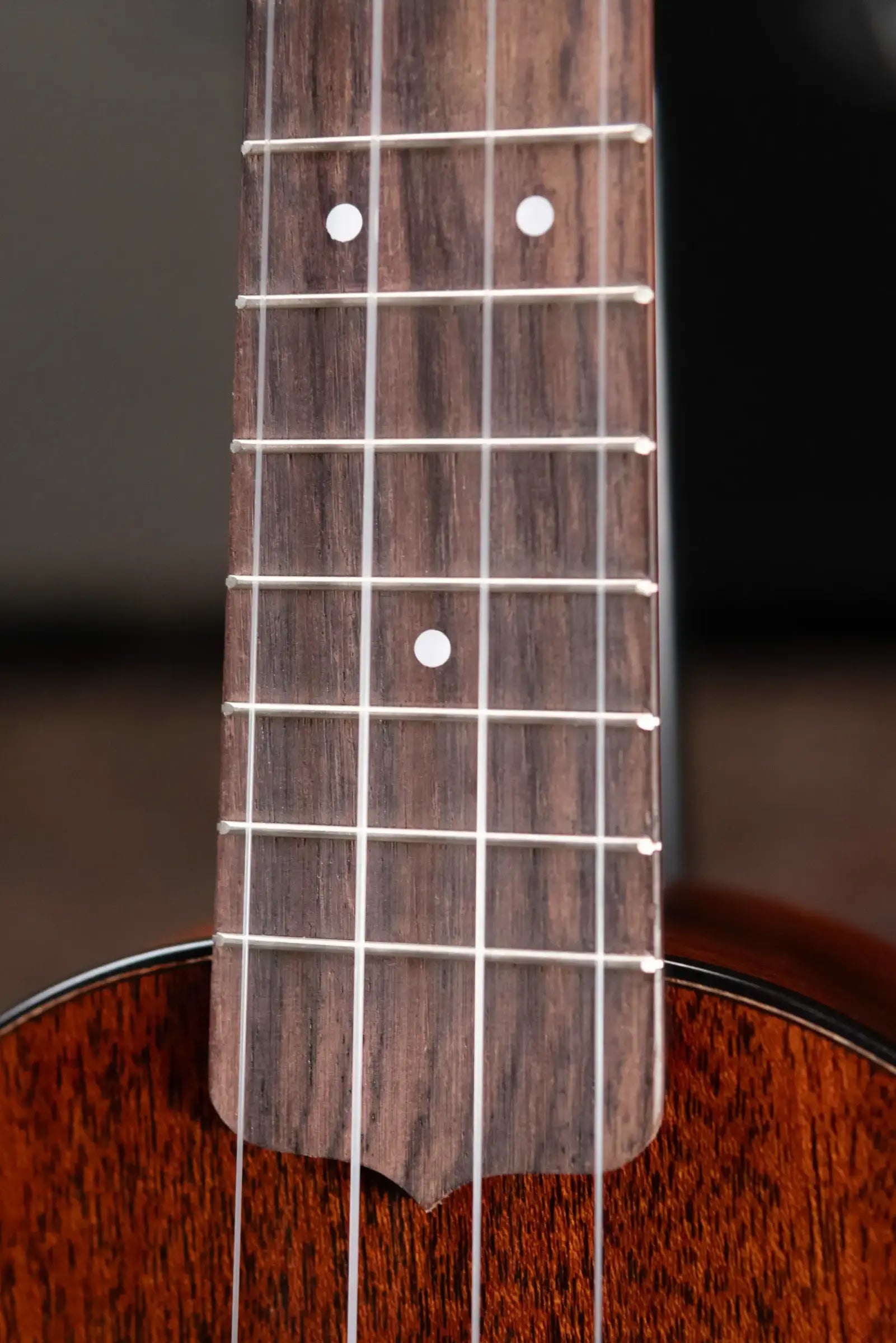 Martin Centennial Concert Ukulele - Dark Mahogany with Gig Bag