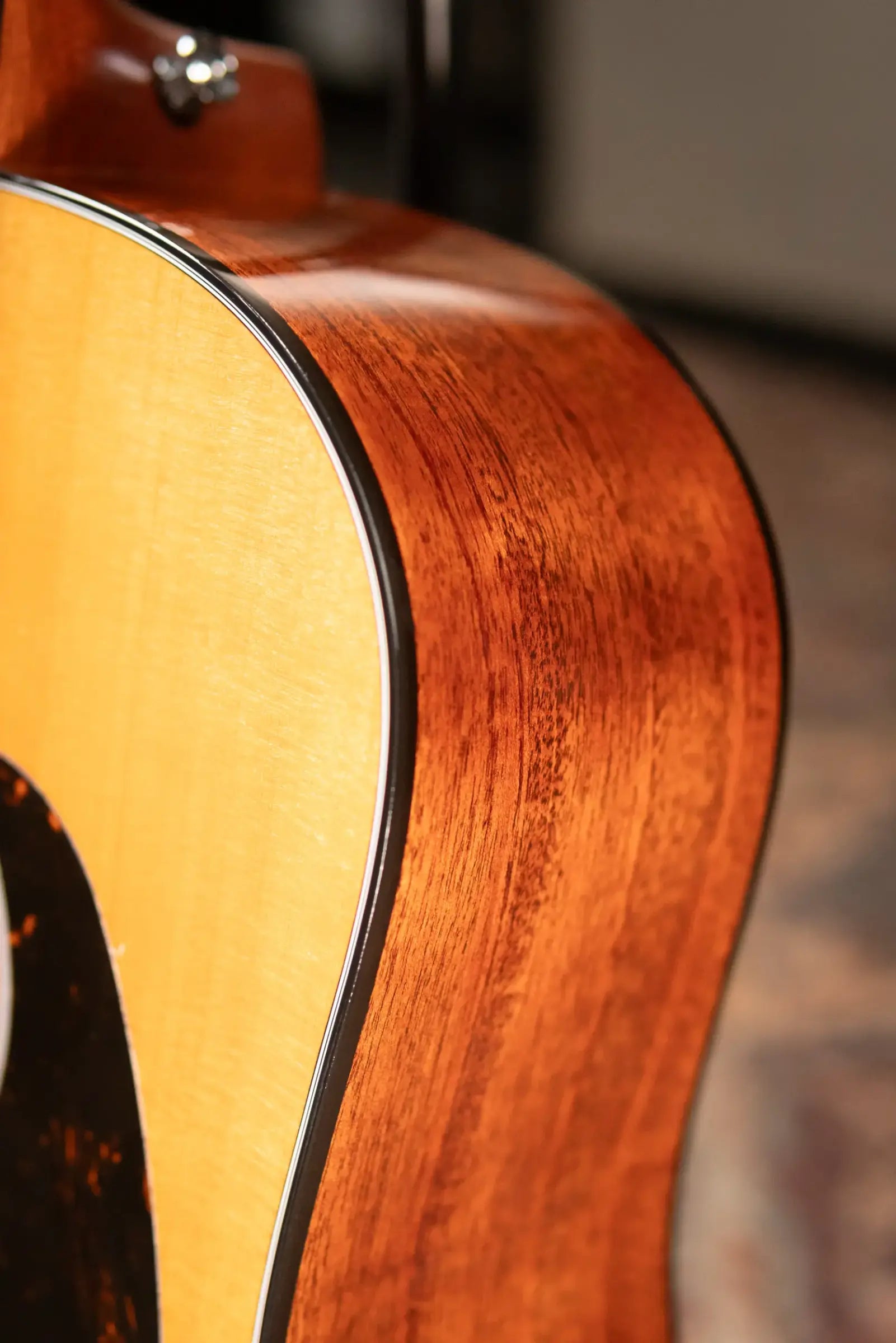 Martin DE Retro Plus Mahogany Acoustic/Electric Guitar with Gig Bag