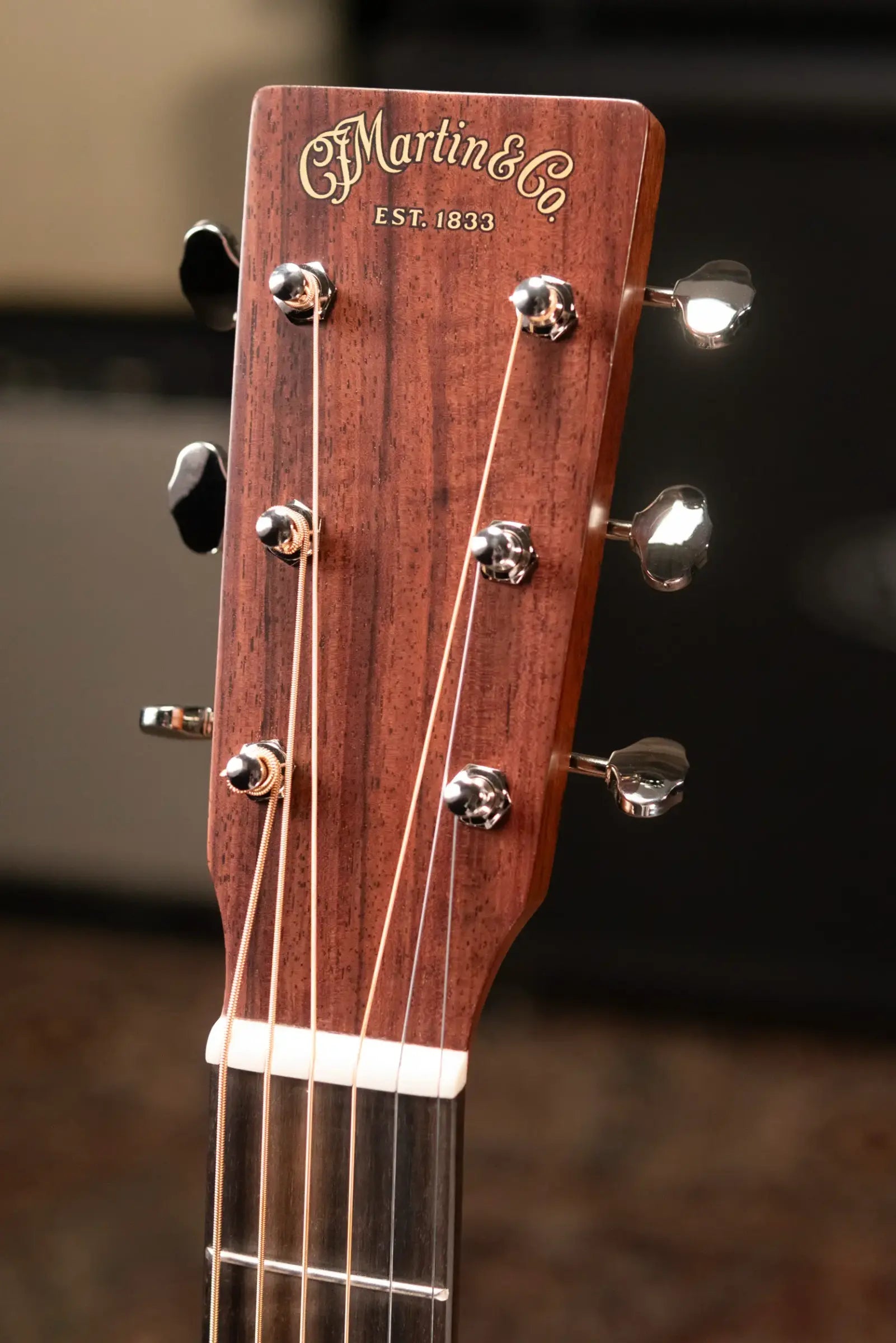 Martin DE Retro Plus Mahogany Acoustic/Electric Guitar with Gig Bag