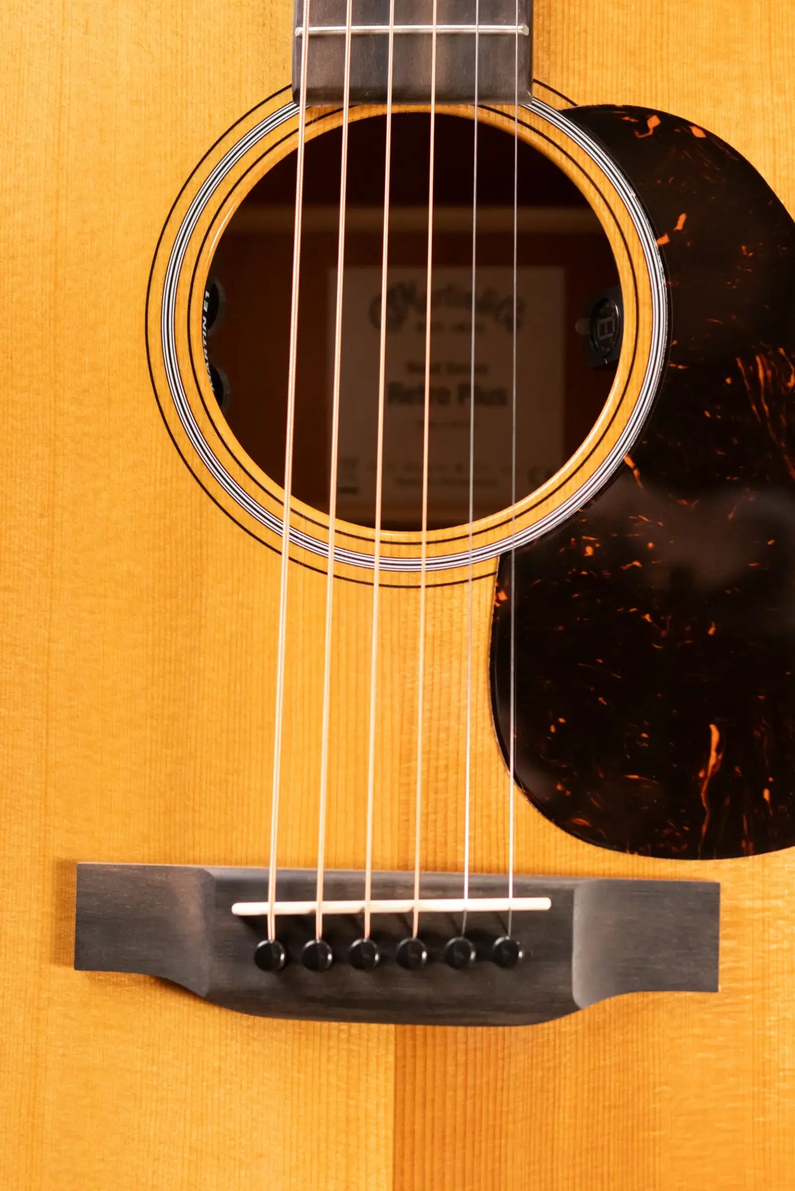 Martin DE Retro Plus Mahogany Acoustic/Electric Guitar with Gig Bag
