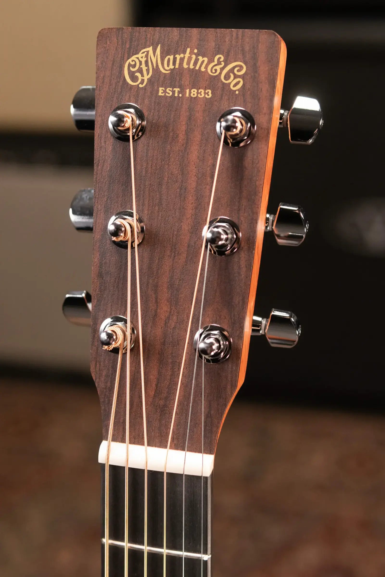 Martin D-10E Dreadnought Acoustic/Electric Guitar - Sapele Top with Gig Bag