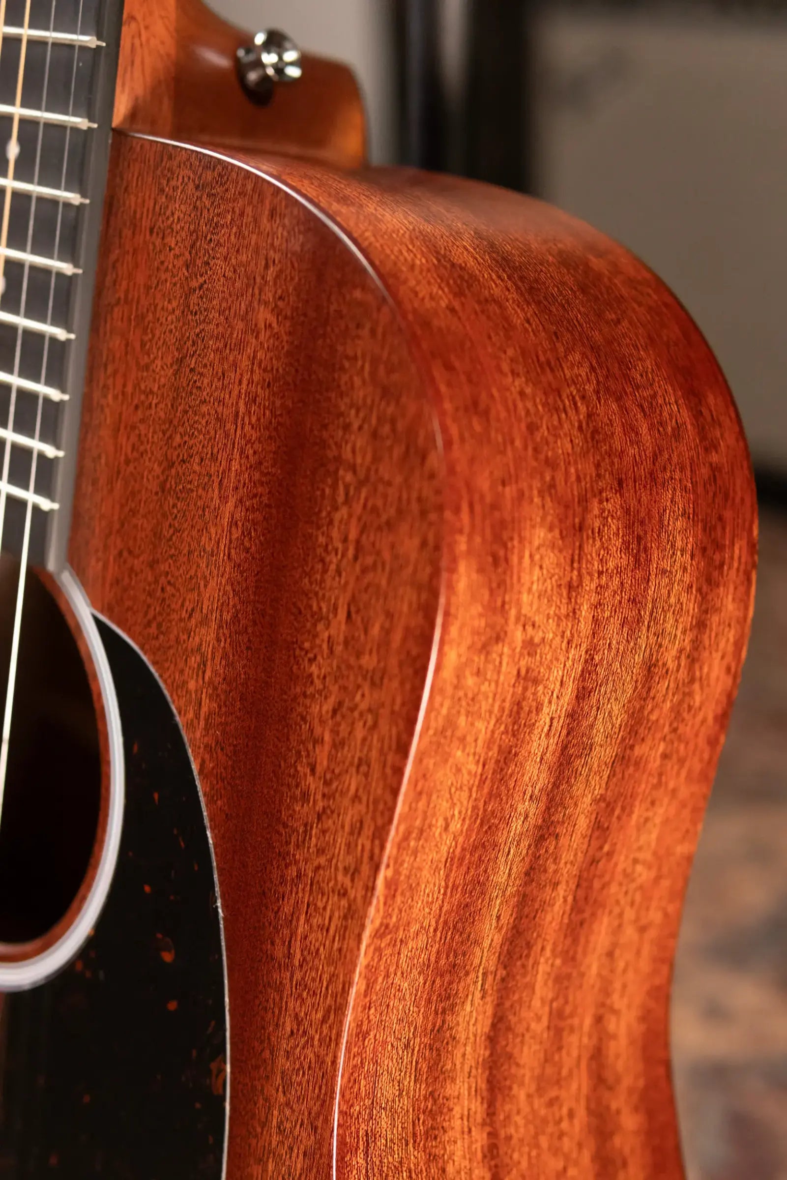 Martin D-10E Dreadnought Acoustic/Electric Guitar - Sapele Top with Gig Bag