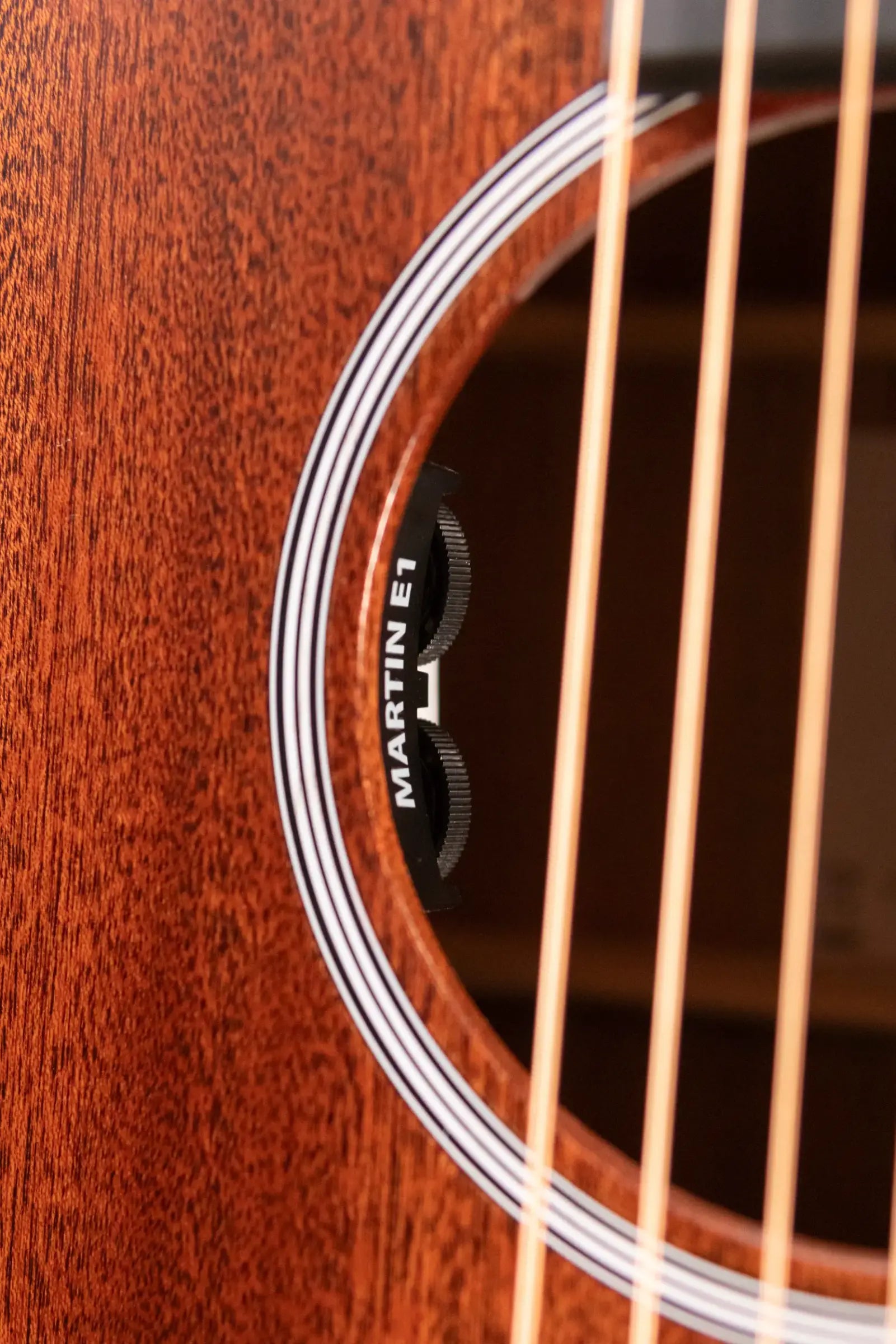 Martin D-10E Dreadnought Acoustic/Electric Guitar - Sapele Top with Gig Bag