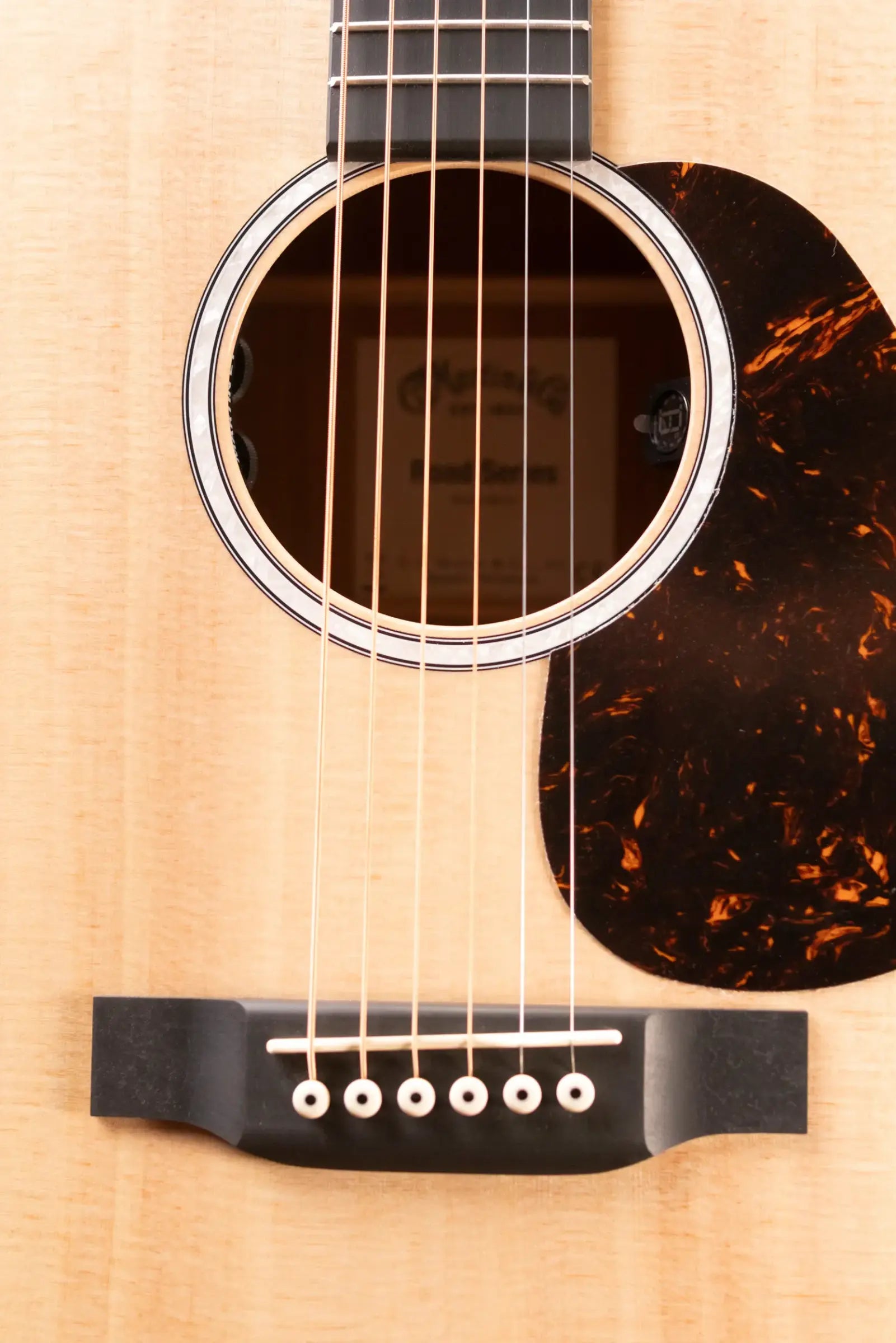 Martin D-10E Dreadnought Acoustic/Electric Guitar - Sitka Spruce/Sapele with Gig Bag