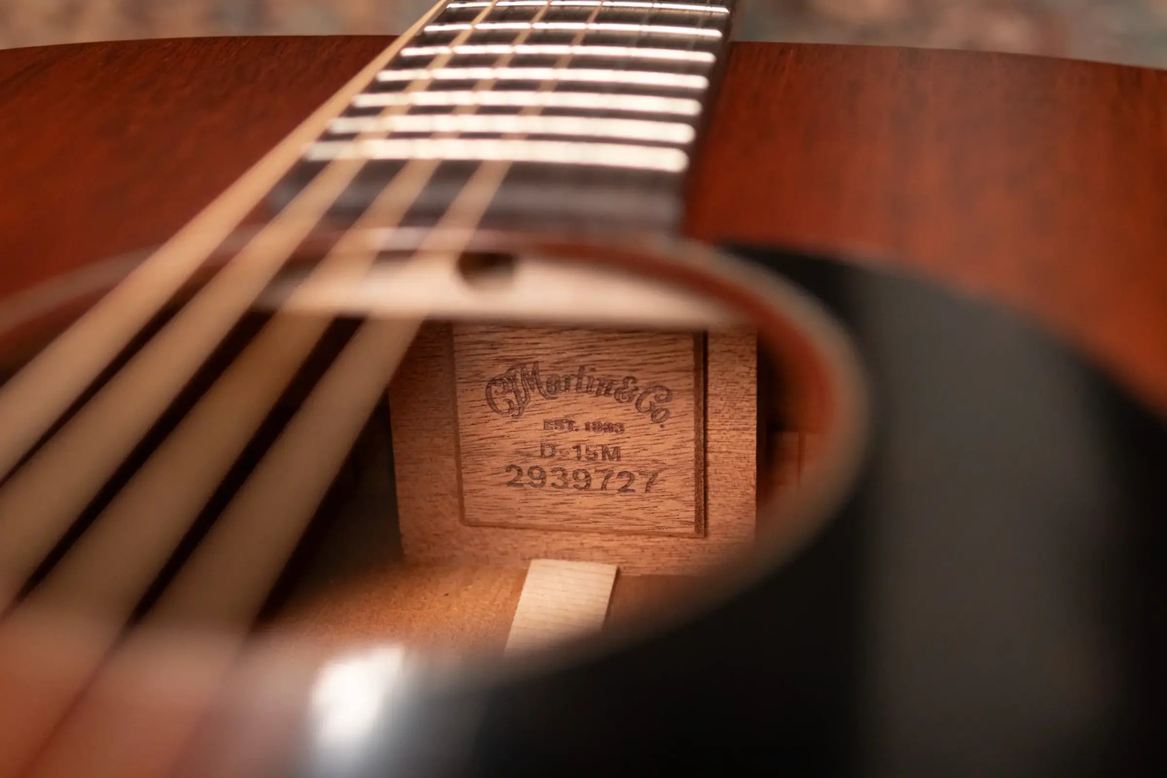 Martin D-15M Dreadnought Acoustic Guitar with Gig Bag