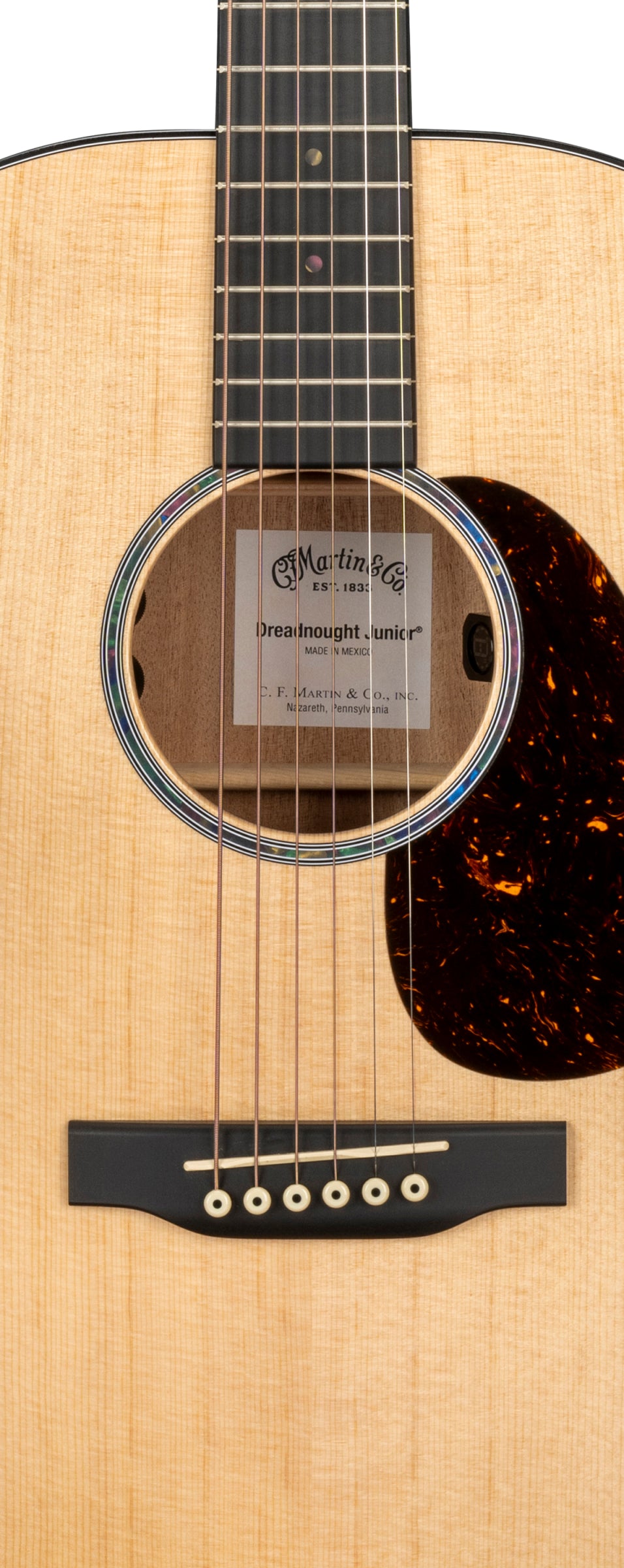 Martin D Jr-E Dreadnought Acoustic/Electric Guitar with Gig Bag