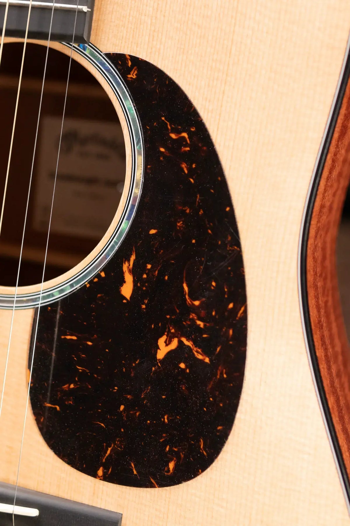 Martin D Jr-E Dreadnought Acoustic/Electric Guitar with Gig Bag - Demo