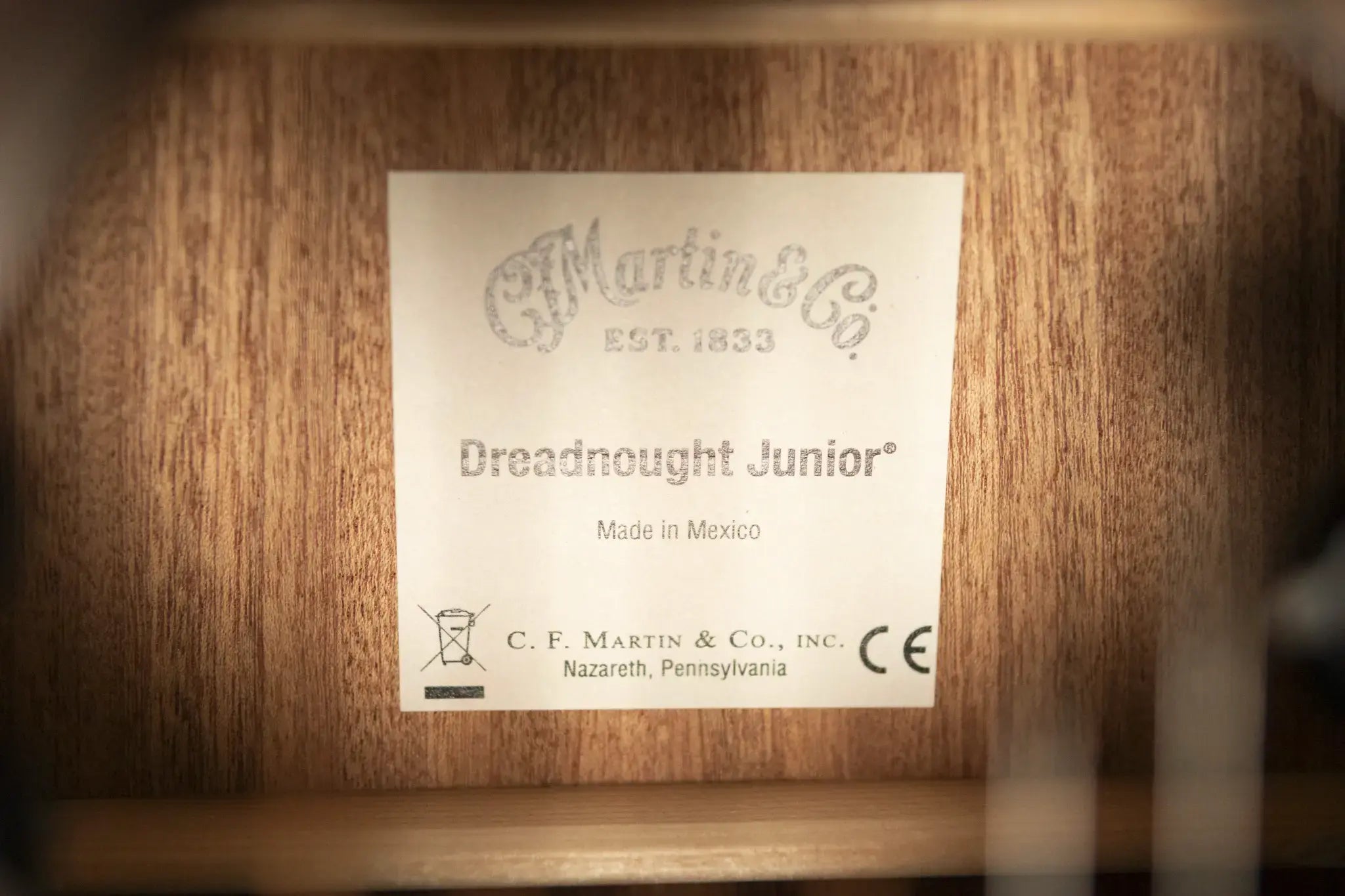 Martin D Jr-E StreetMaster Acoustic/Electric Guitar - Dark Distressed Mahogany with Softshell Case