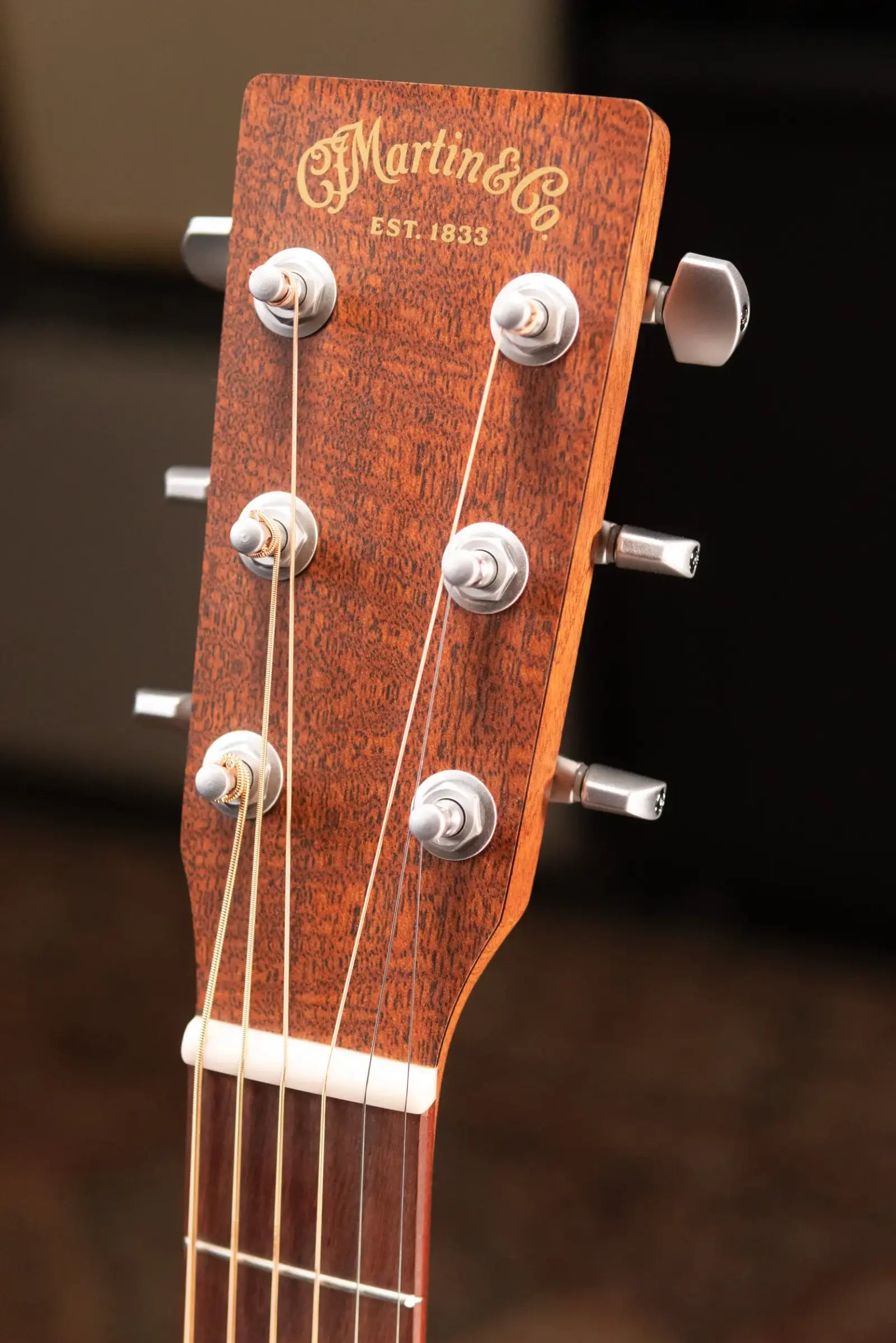 Martin D-X2E Mahogany Acoustic/Electric Guitar with Gig Bag