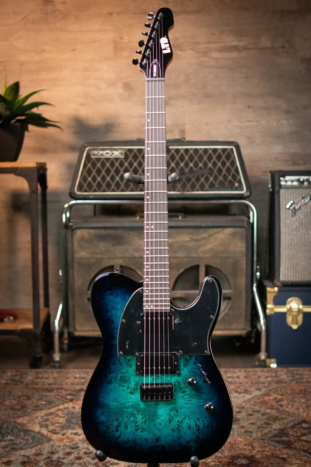 ESP LTD TE-200DX Electric Guitar - Blue Burst