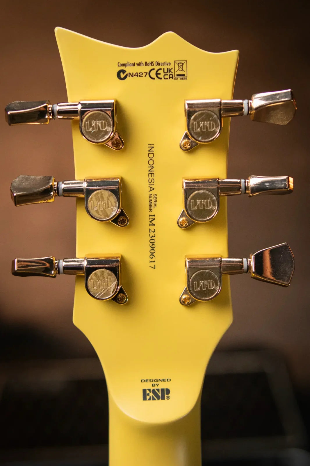ESP LTD EC-256 - Vintage Gold Satin