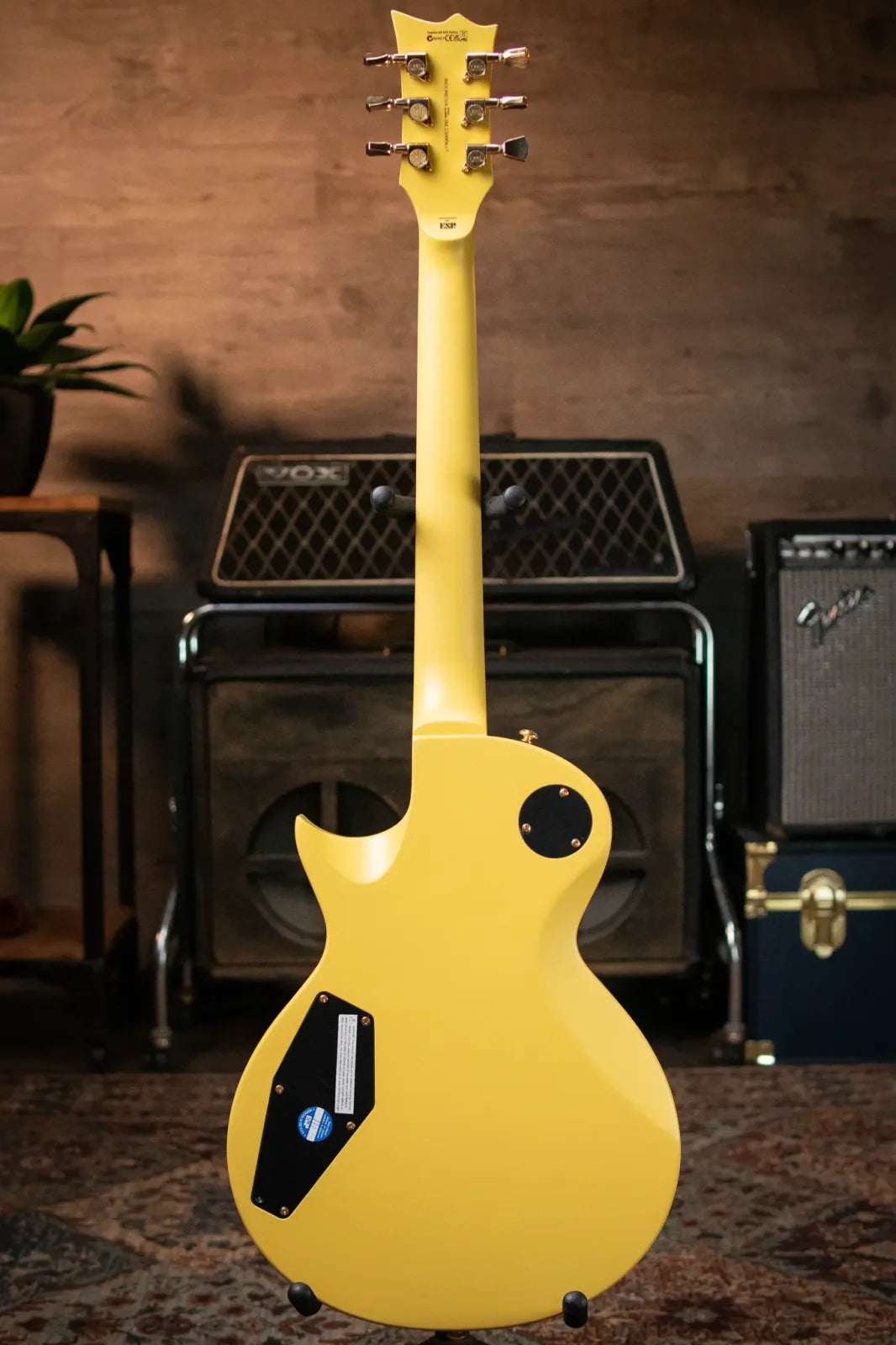 ESP LTD EC-256 - Vintage Gold Satin