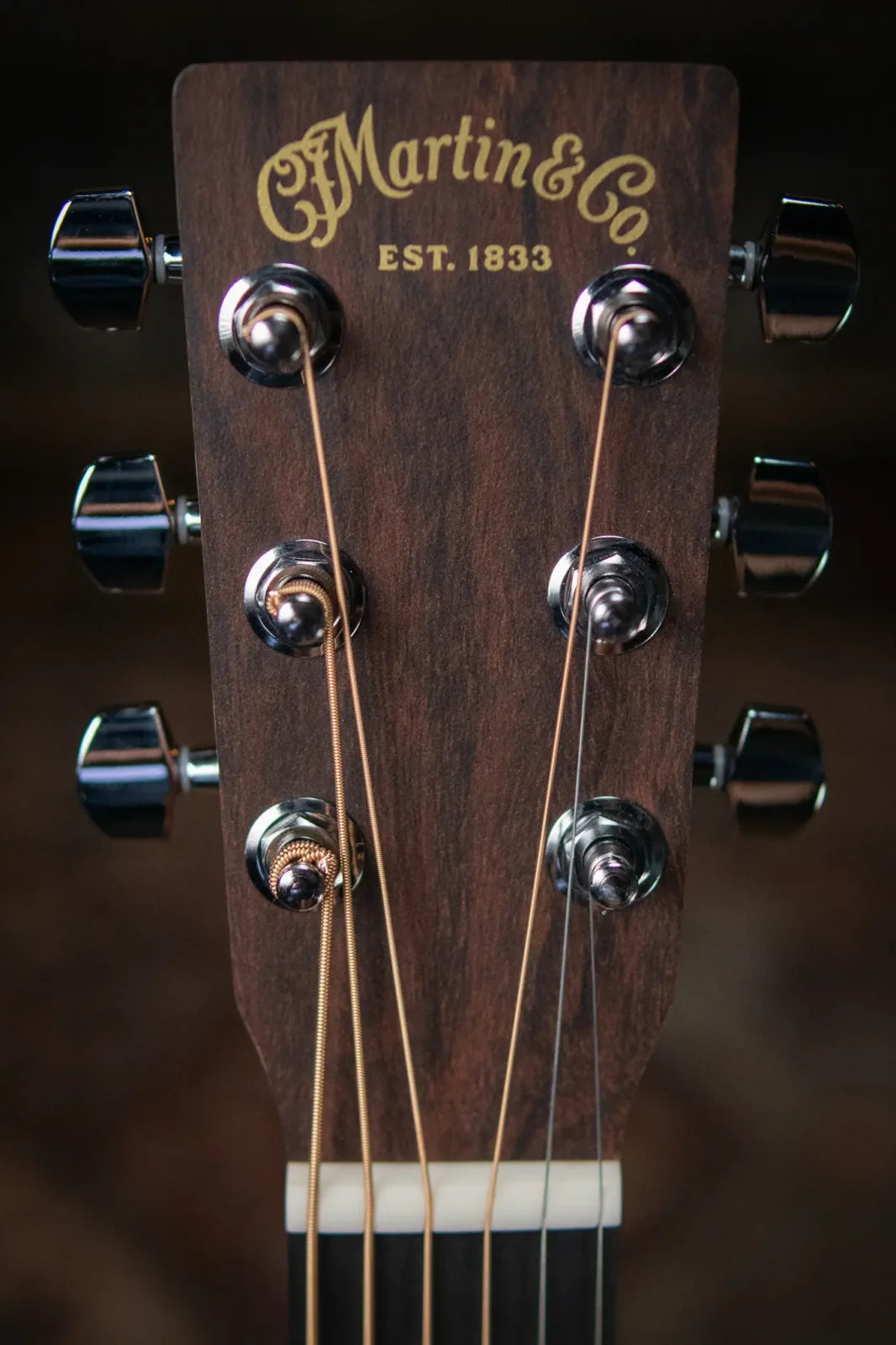LX1 Little Martin with Gig Bag
