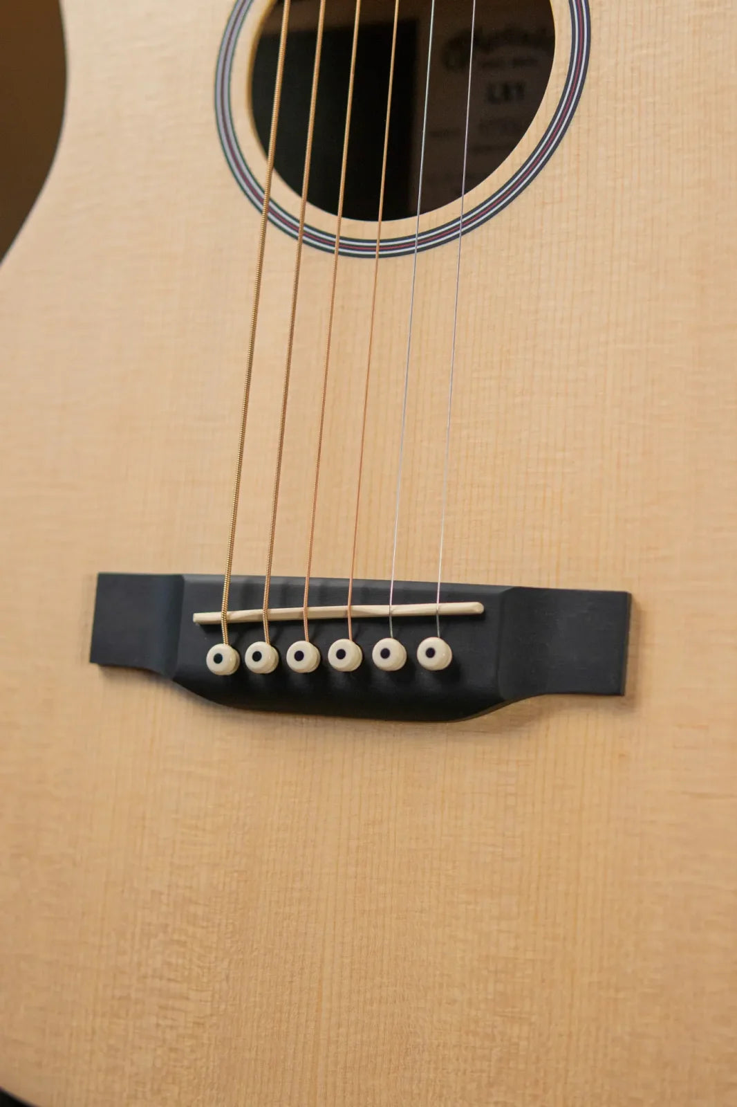 LX1 Little Martin with Gig Bag