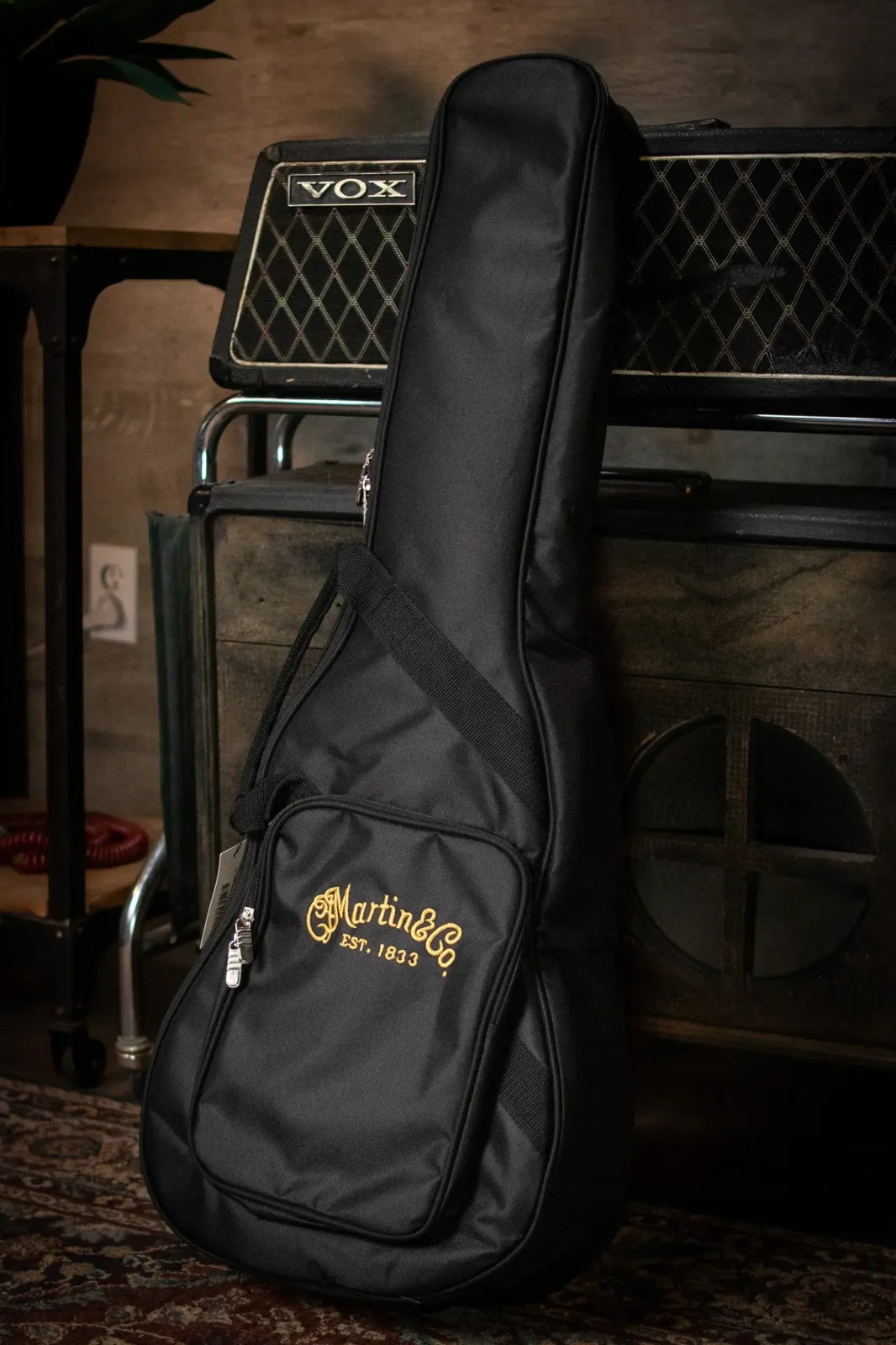 LX1 Little Martin with Gig Bag