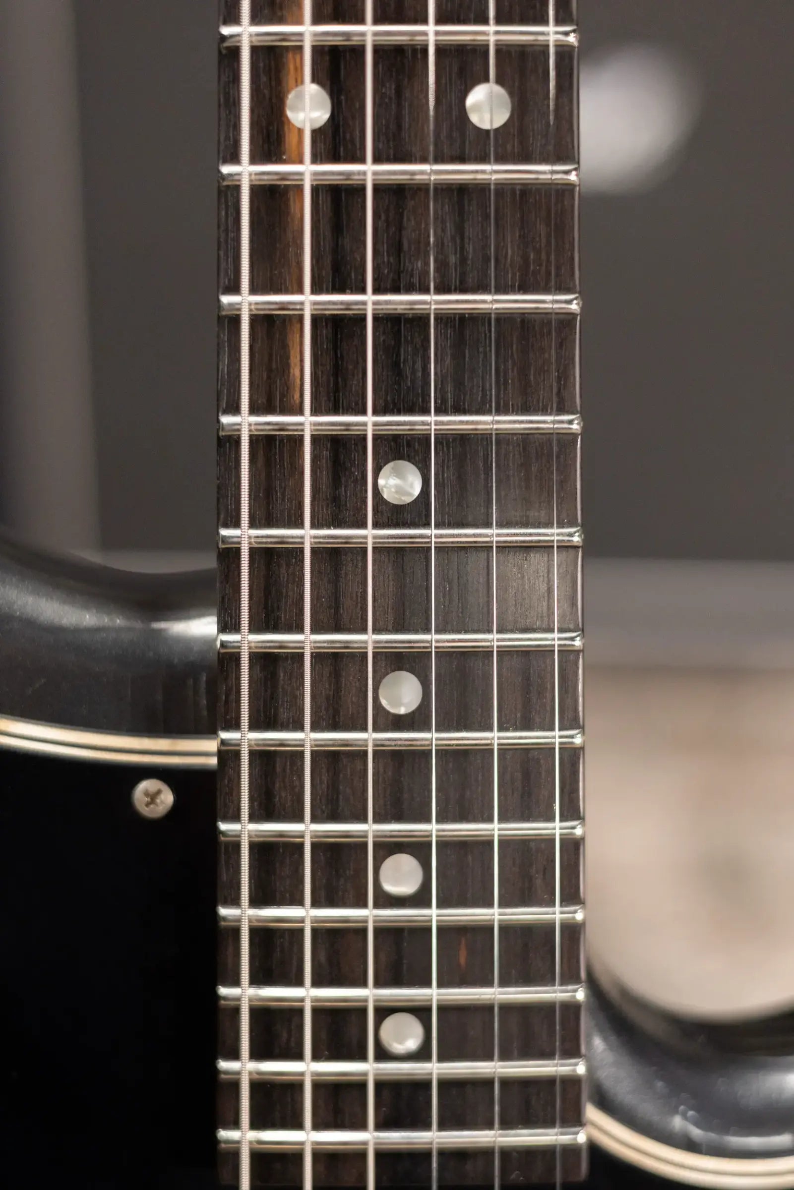 Novo Custom Shop Serus H2 Electric Guitar - Charcoal Frost with Softshell Case