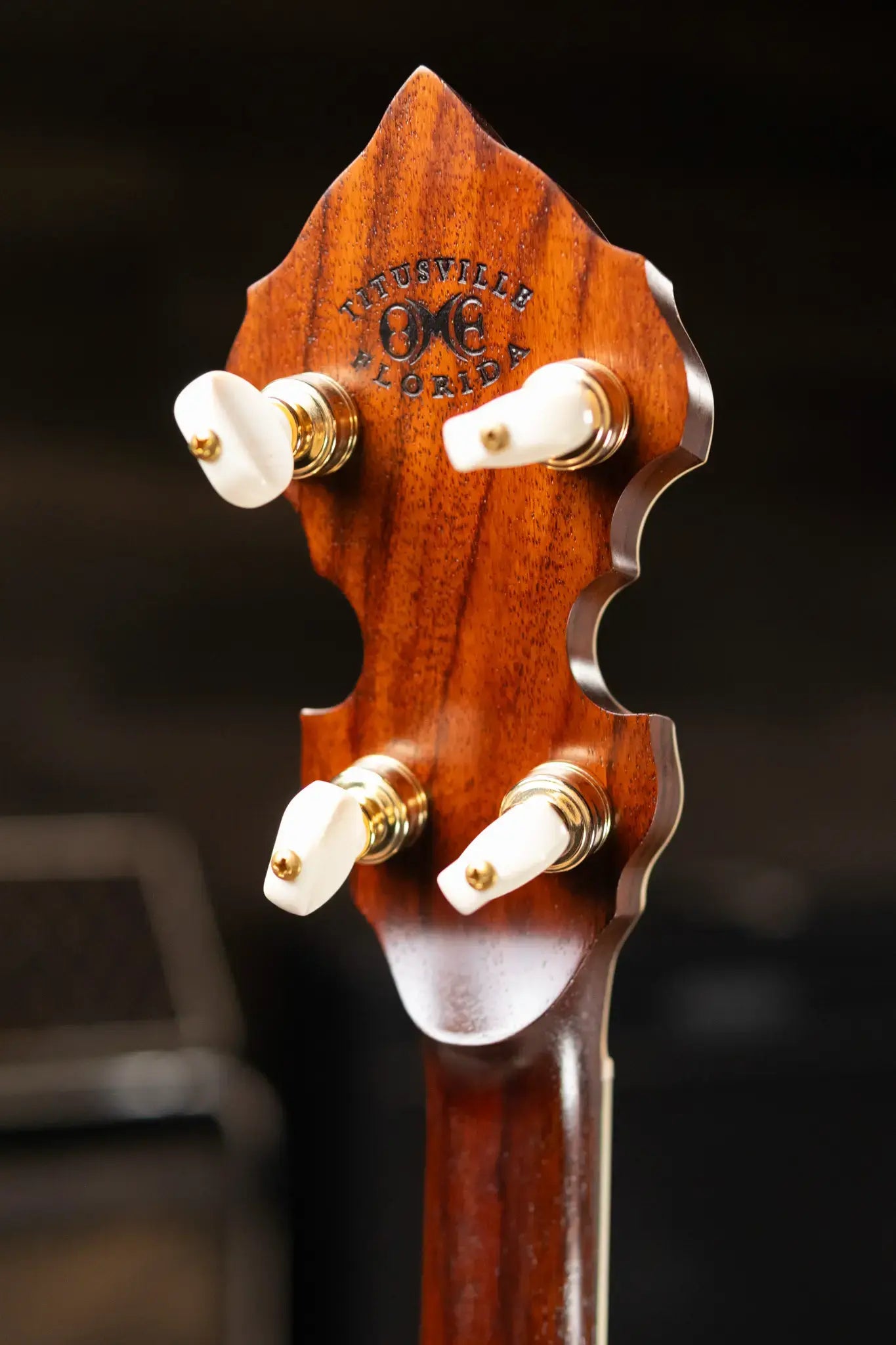 OME Banjos Artist Millennium 5-String Resonator Banjo with Hardshell Case