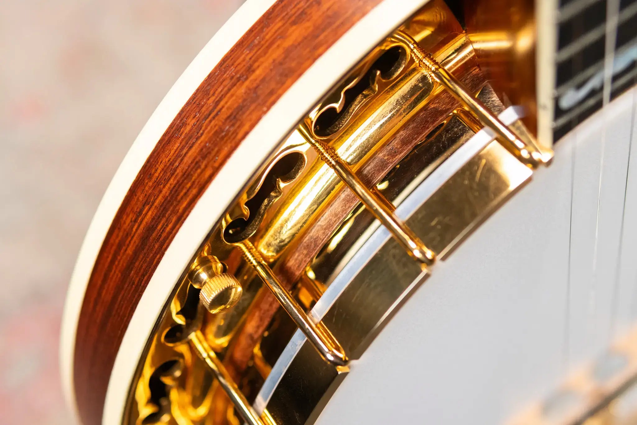 OME Banjos Artist Millennium 5-String Resonator Banjo with Hardshell Case