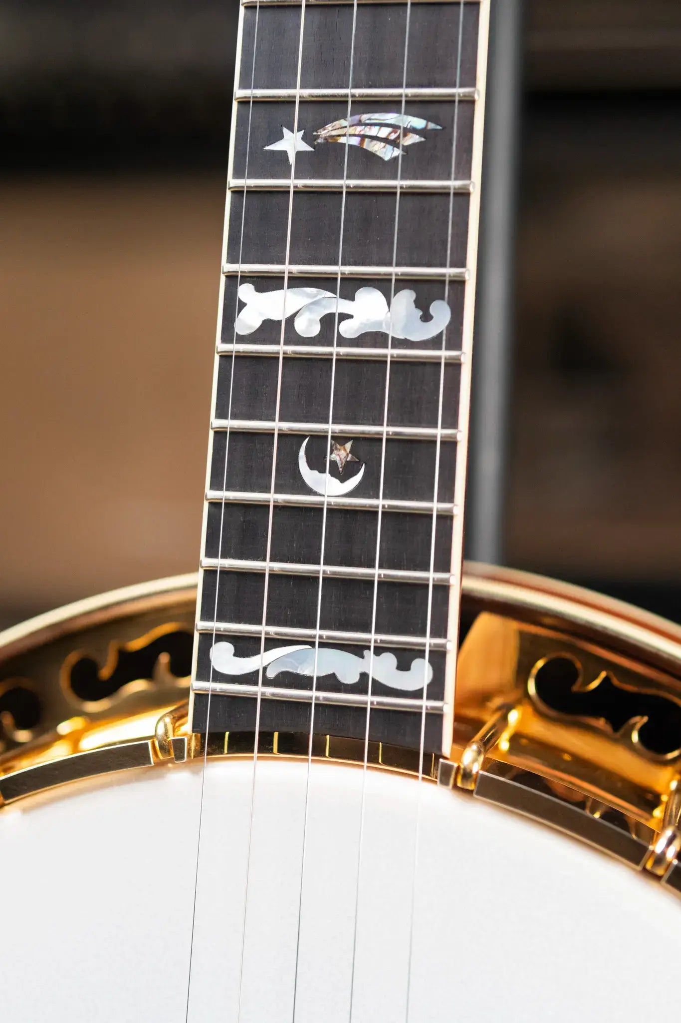 OME Banjos Artist Millennium 5-String Resonator Banjo with Hardshell Case