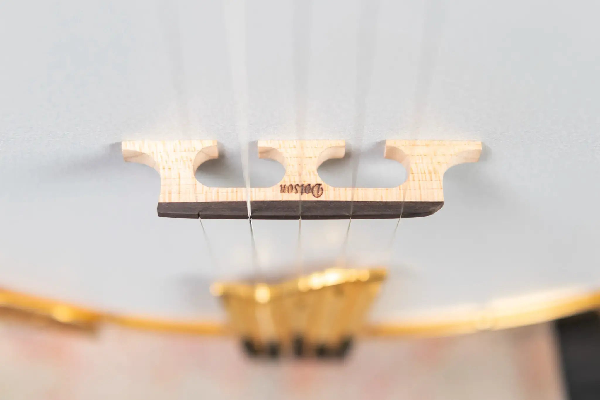 OME Banjos Artist Millennium 5-String Resonator Banjo with Hardshell Case