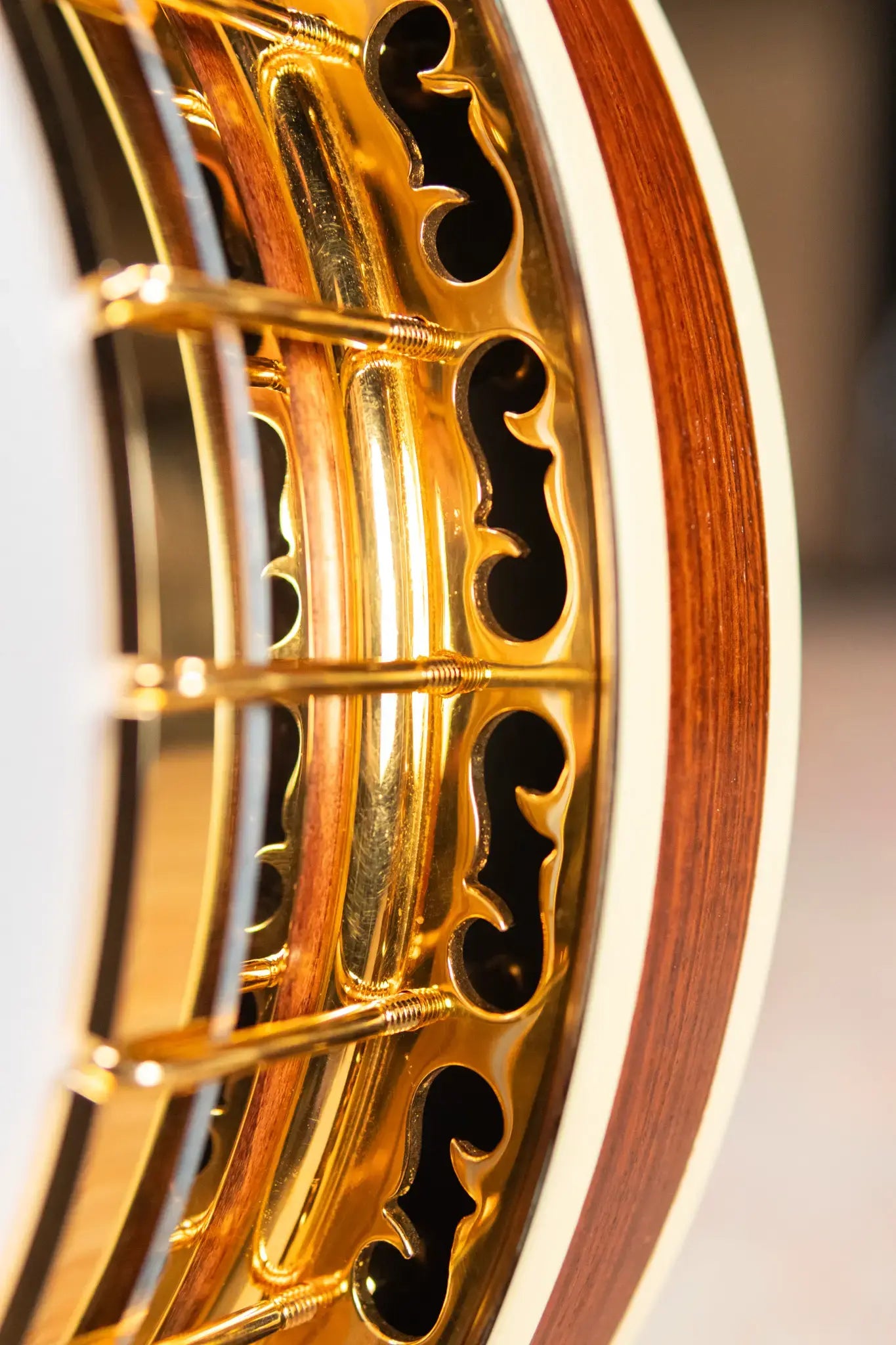 OME Banjos Artist Millennium 5-String Resonator Banjo with Hardshell Case