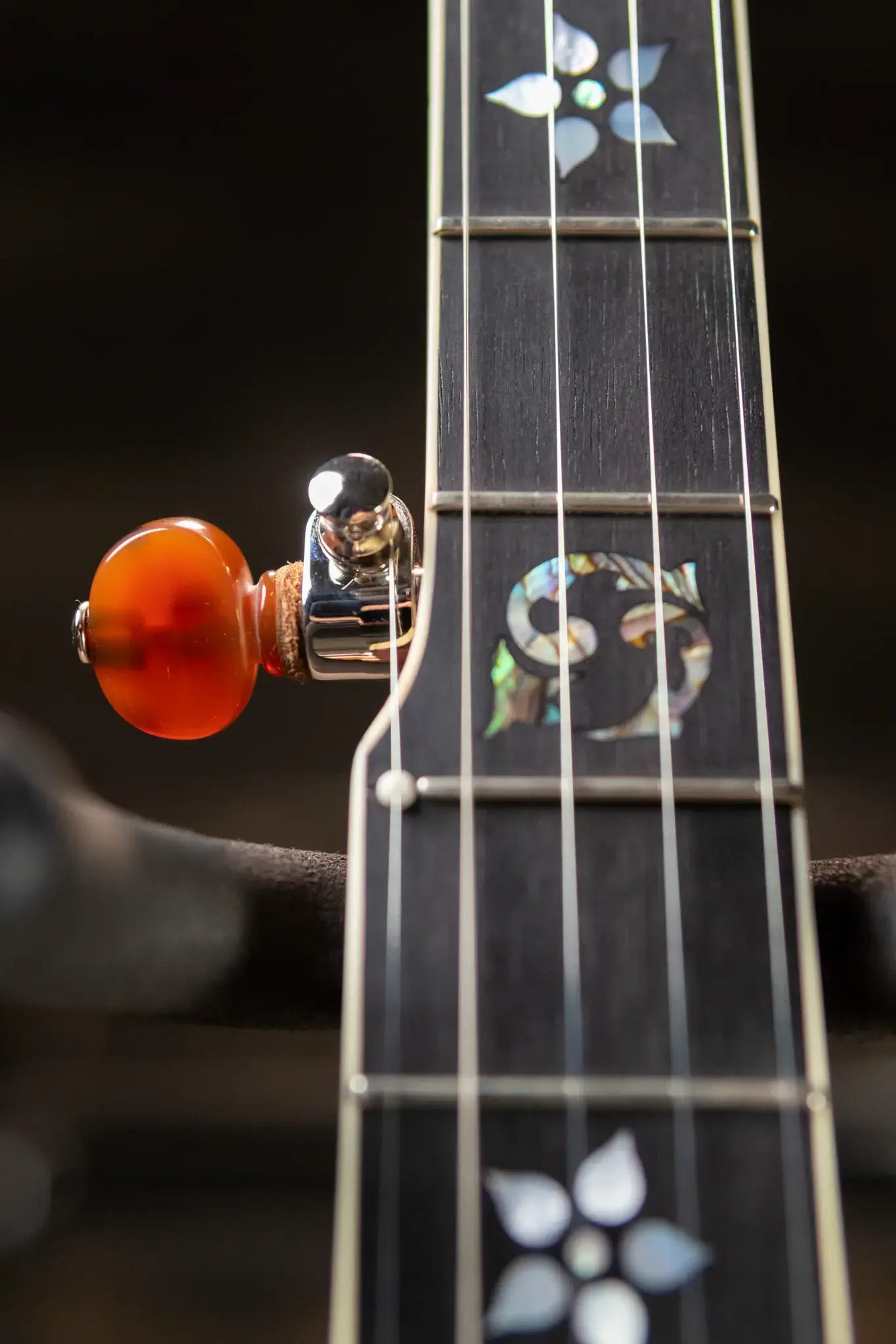 OME Banjos Gold Hill Primrose Classic 5-String Resonator Banjo with Hardshell Case