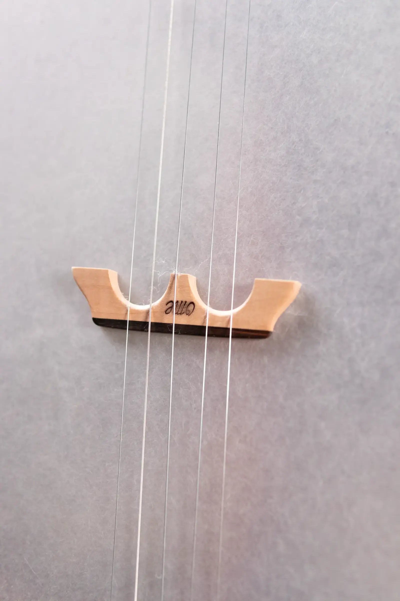 OME Banjos Jubilee 5-String Open Back Banjo with Hardshell Case