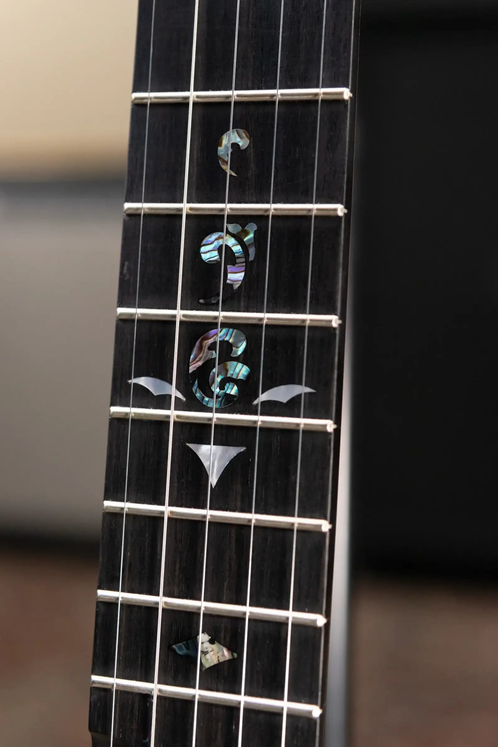 OME Banjos Juniper 5-String Open Back Banjo with Hardshell Case