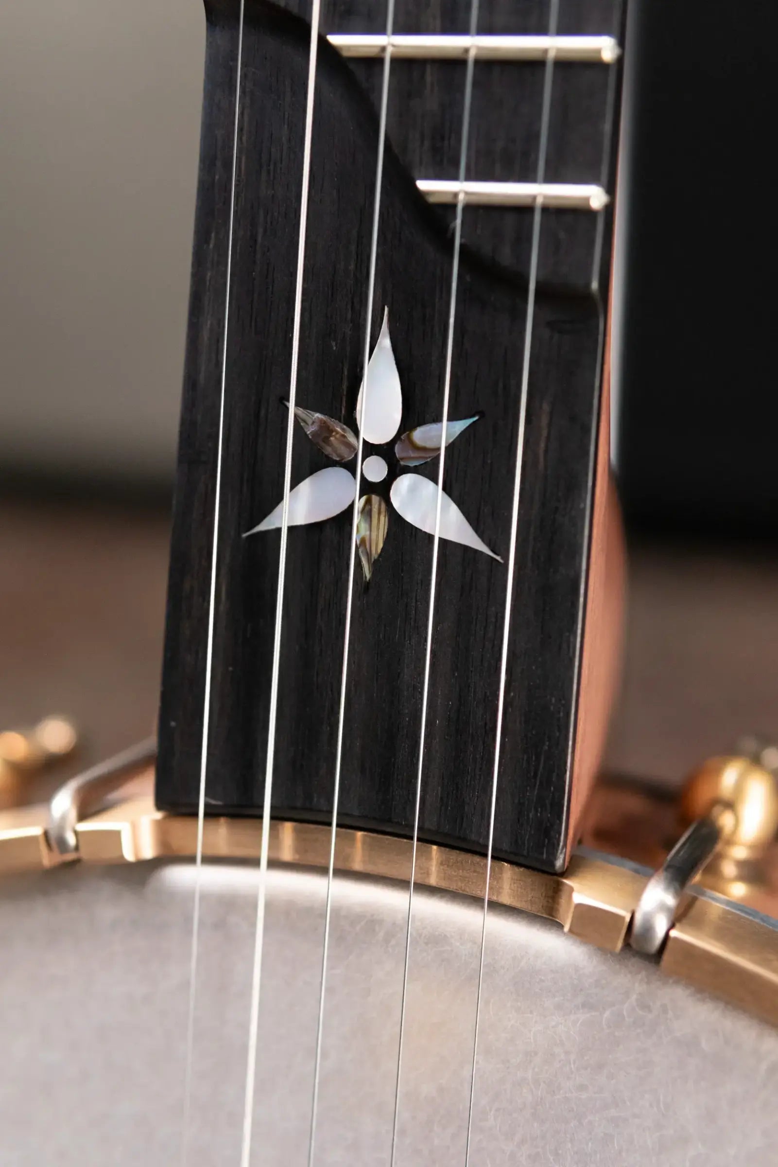 OME Banjos Juniper 5-String Open Back Banjo with Hardshell Case