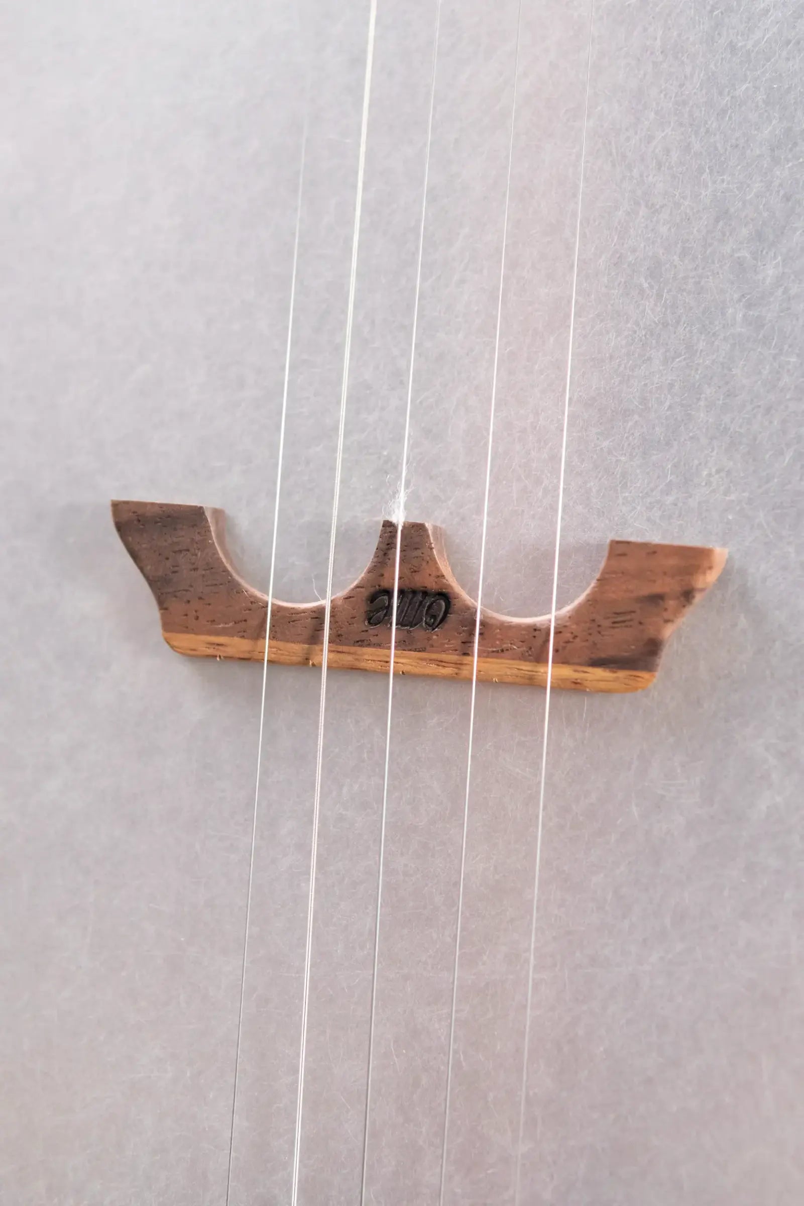 OME Banjos Juniper 5-String Open Back Banjo with Hardshell Case