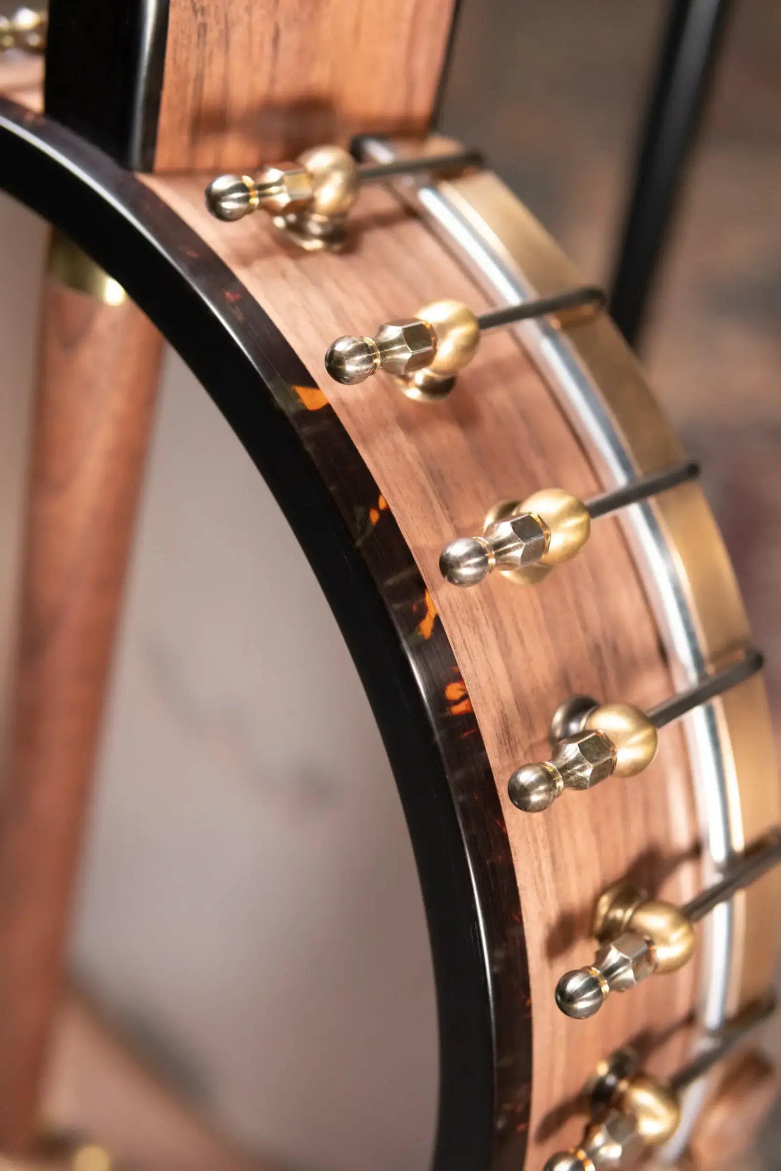 OME Banjos Juniper 5-String Open Back Banjo with Hardshell Case