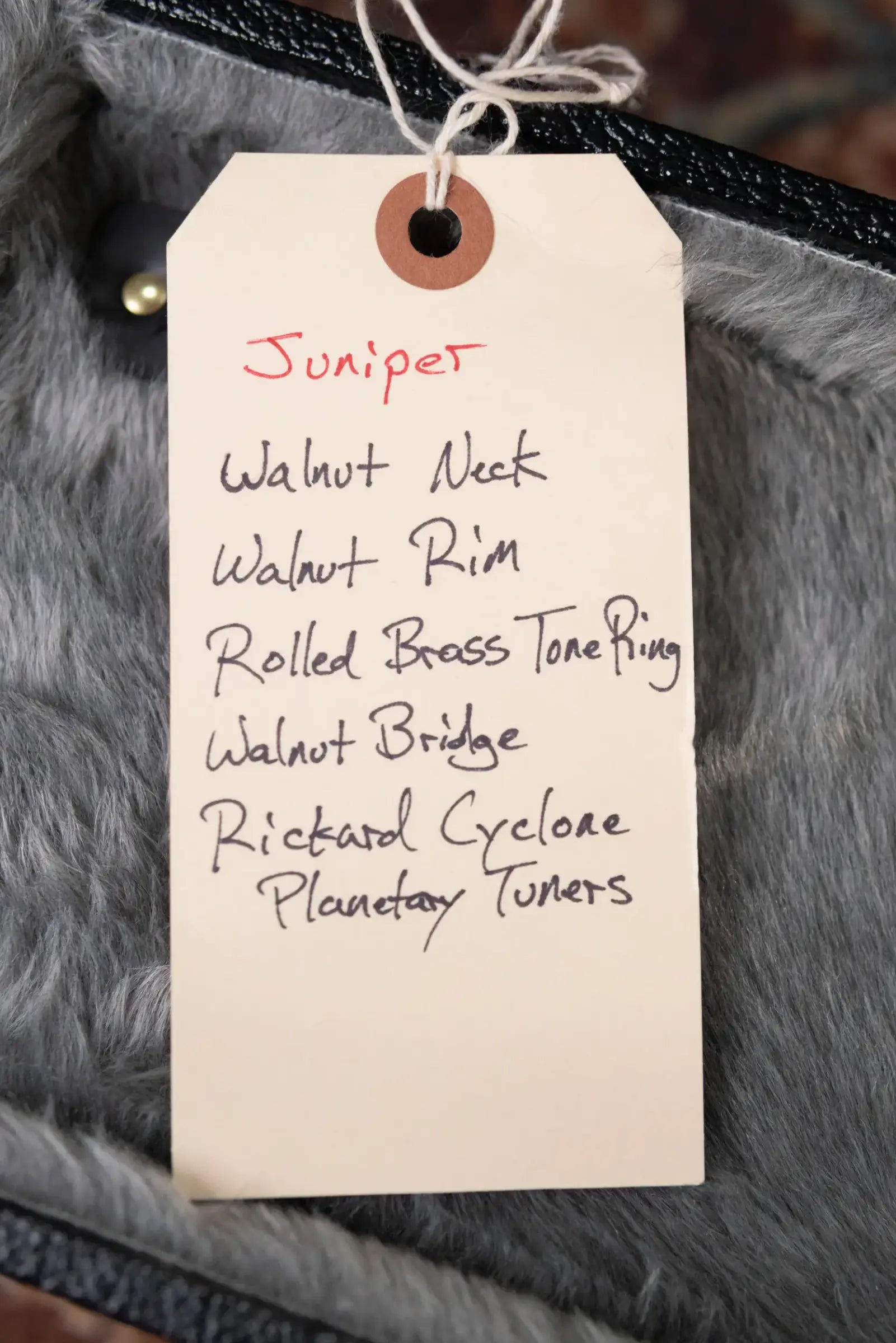 OME Banjos Juniper 5-String Open Back Banjo with Hardshell Case