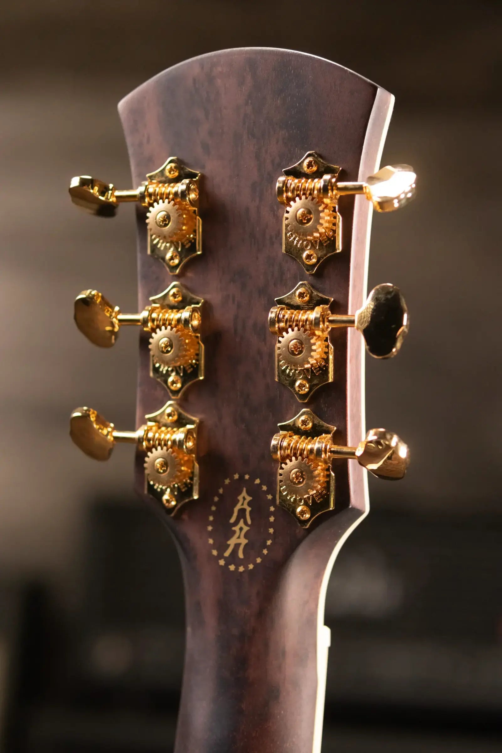 Orangewood Pomona Live Acoustic/Electric Guitar with Gig Bag - Used