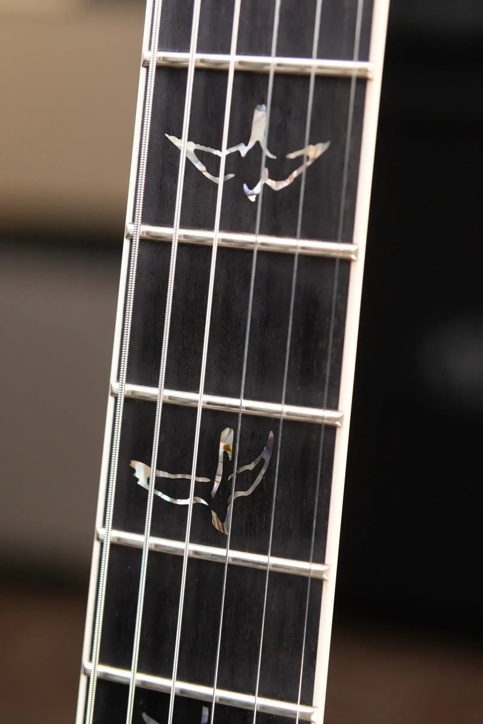 PRS Core Mark Holcomb Signature Electric Guitar - Purple Mist Wraparound Burst with Hardshell Case