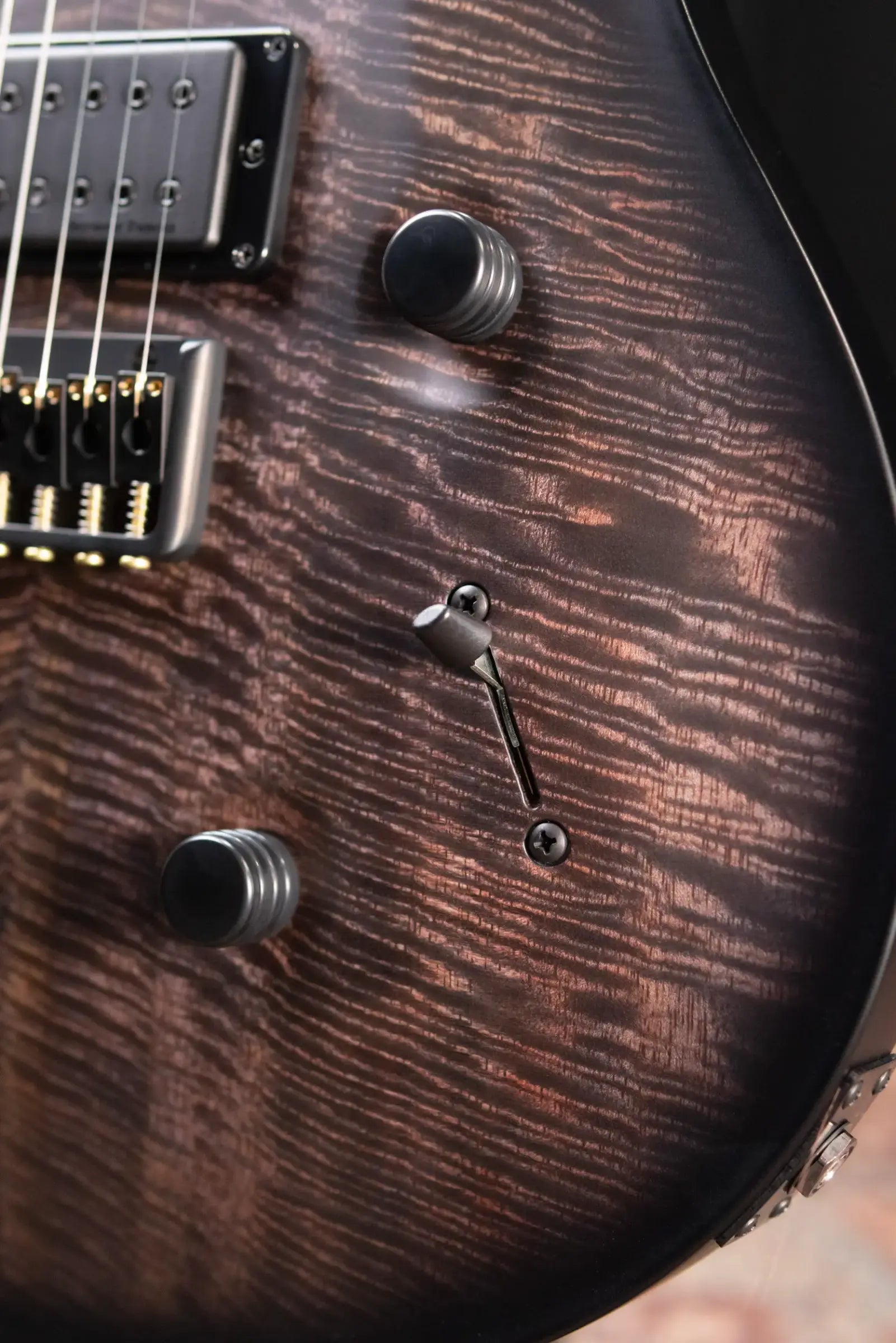 PRS Core Mark Holcomb Signature Electric Guitar - Purple Mist Wraparound Burst with Hardshell Case