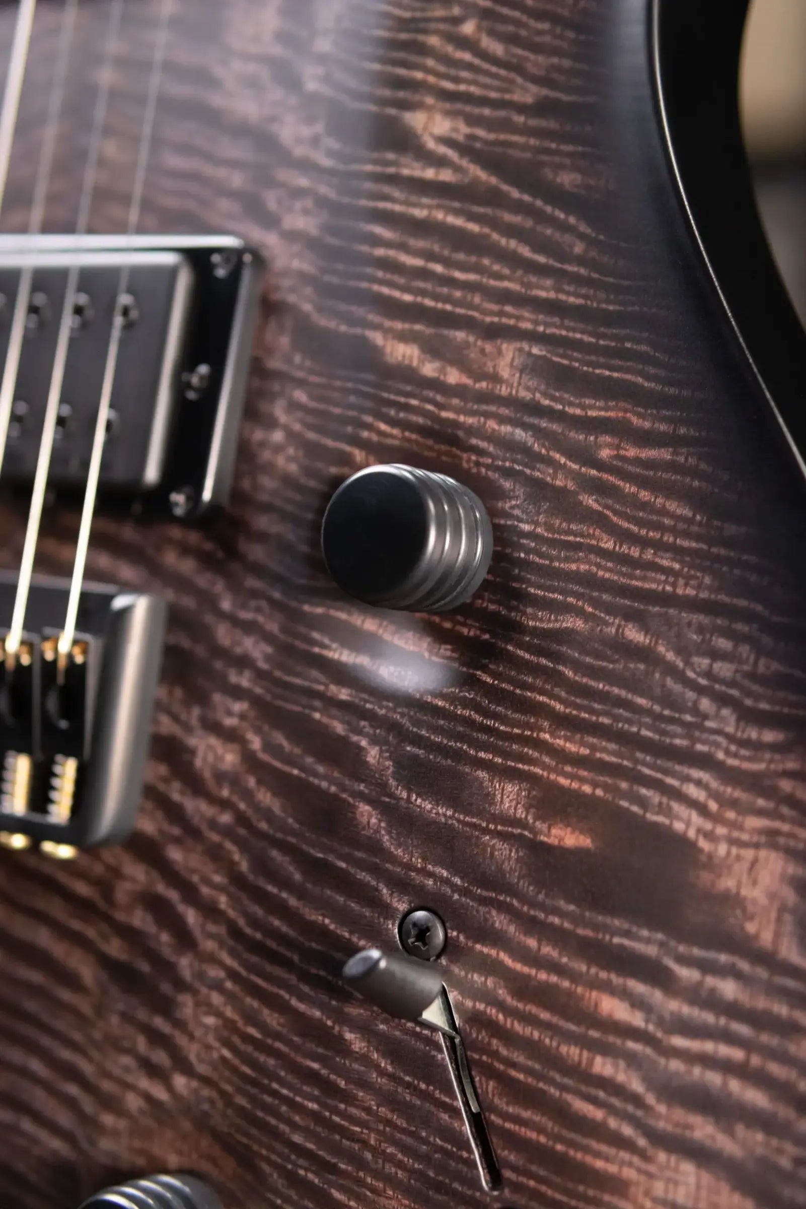 PRS Core Mark Holcomb Signature Electric Guitar - Purple Mist Wraparound Burst with Hardshell Case