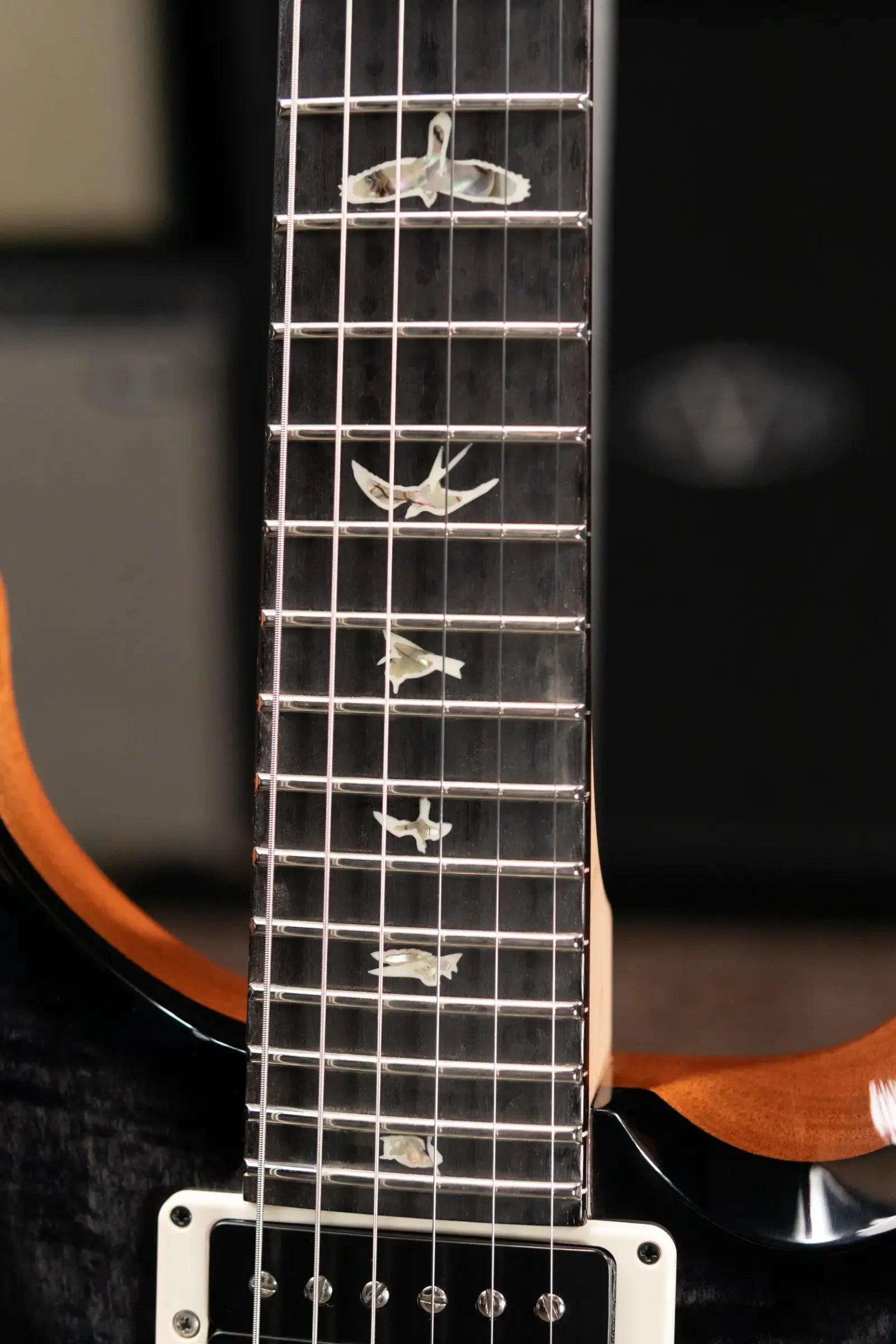 PRS Custom 24 "Floyd" Electric Guitar - Custom Color with Hardshell Case