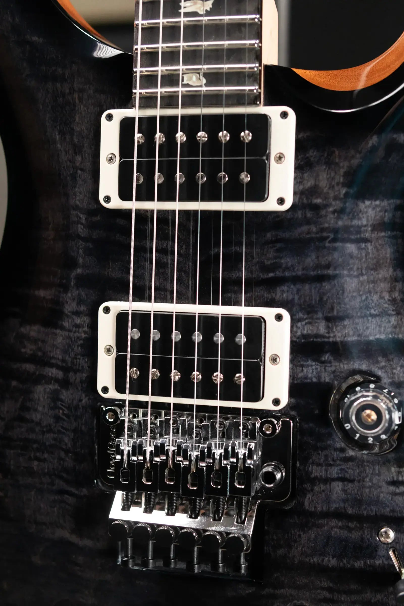 PRS Custom 24 "Floyd" Electric Guitar - Custom Color with Hardshell Case